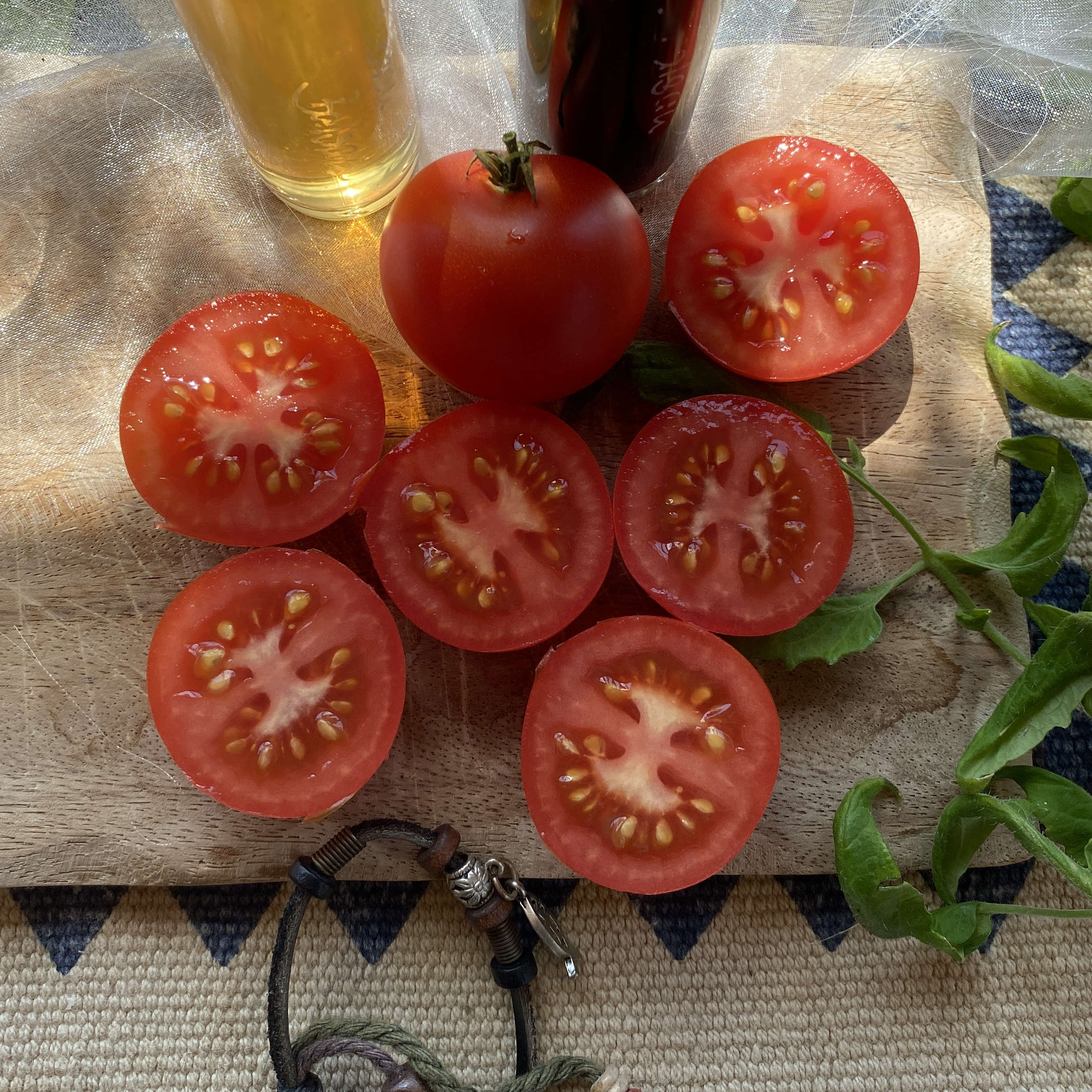 Tomatensaatgut Maja