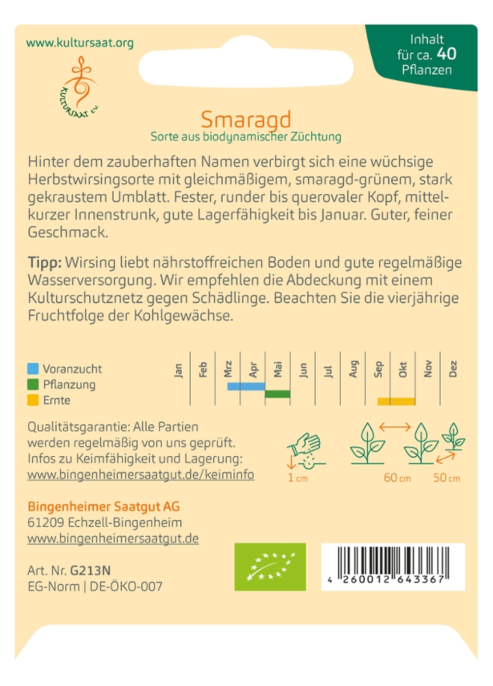 Saatgut Wirsing Smaragd -B-