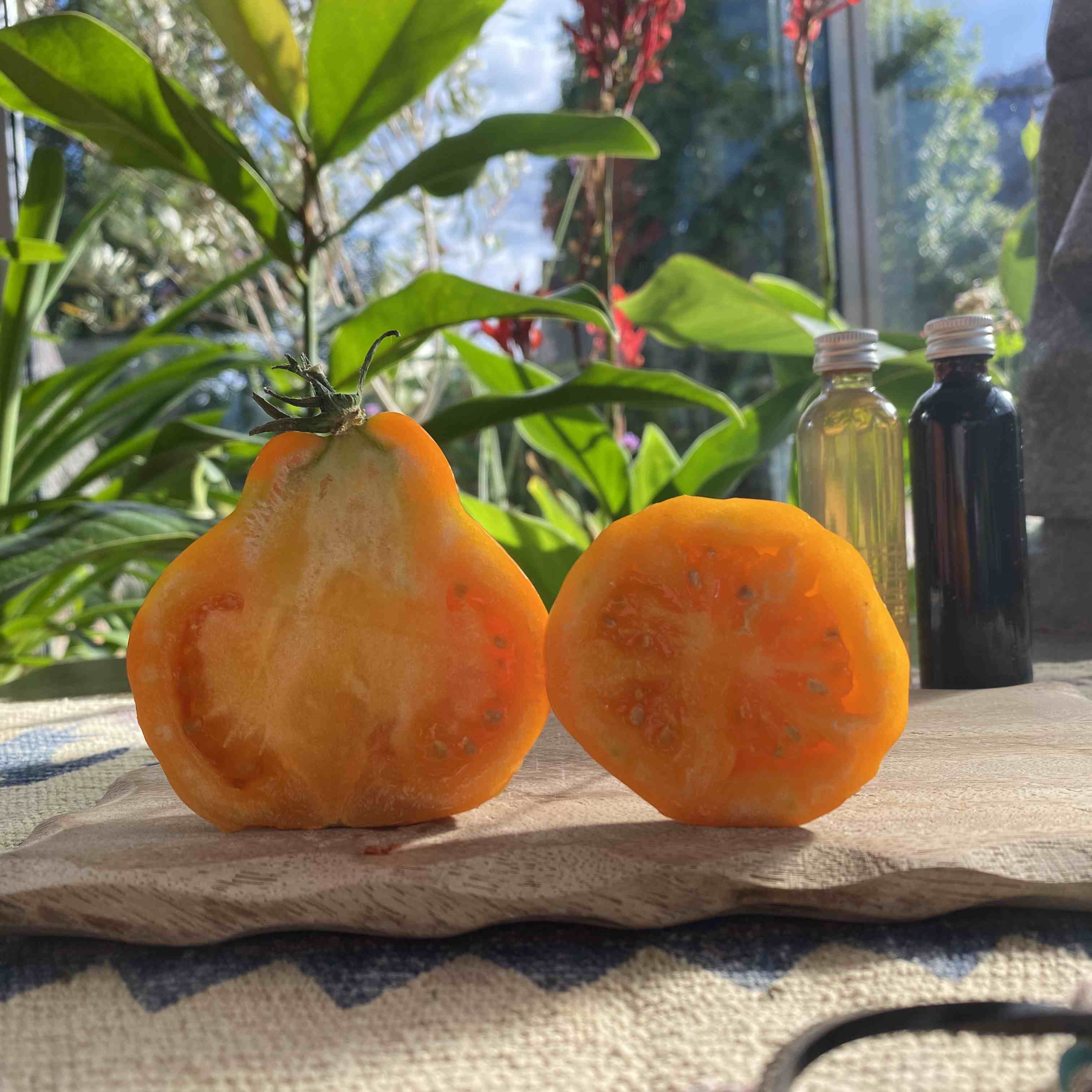Tomatensaatgut Peruanische Beuteltomate
