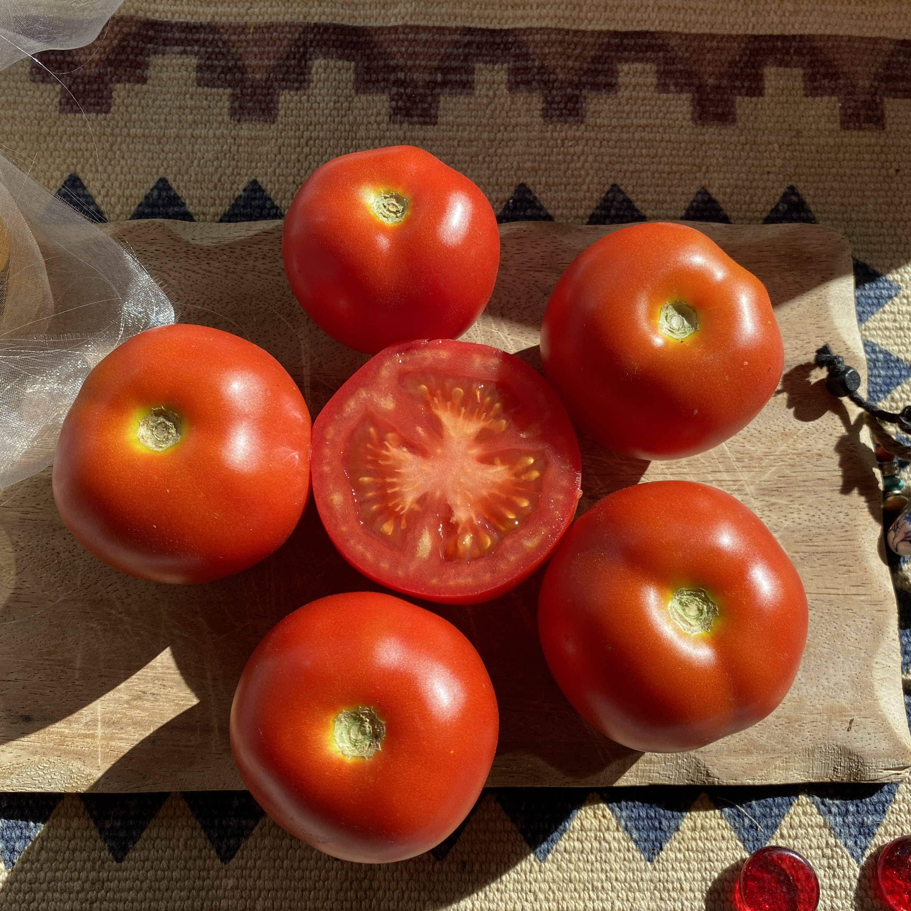 Tomatensaatgut Hellfrucht