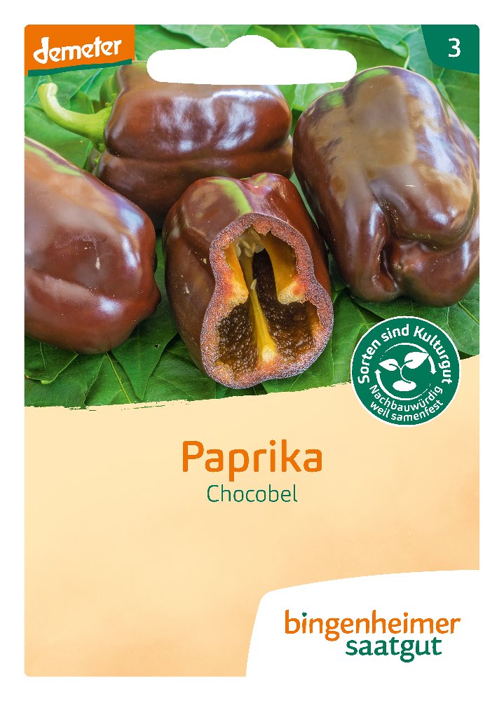 Saatgut Paprika Chocobel -B-