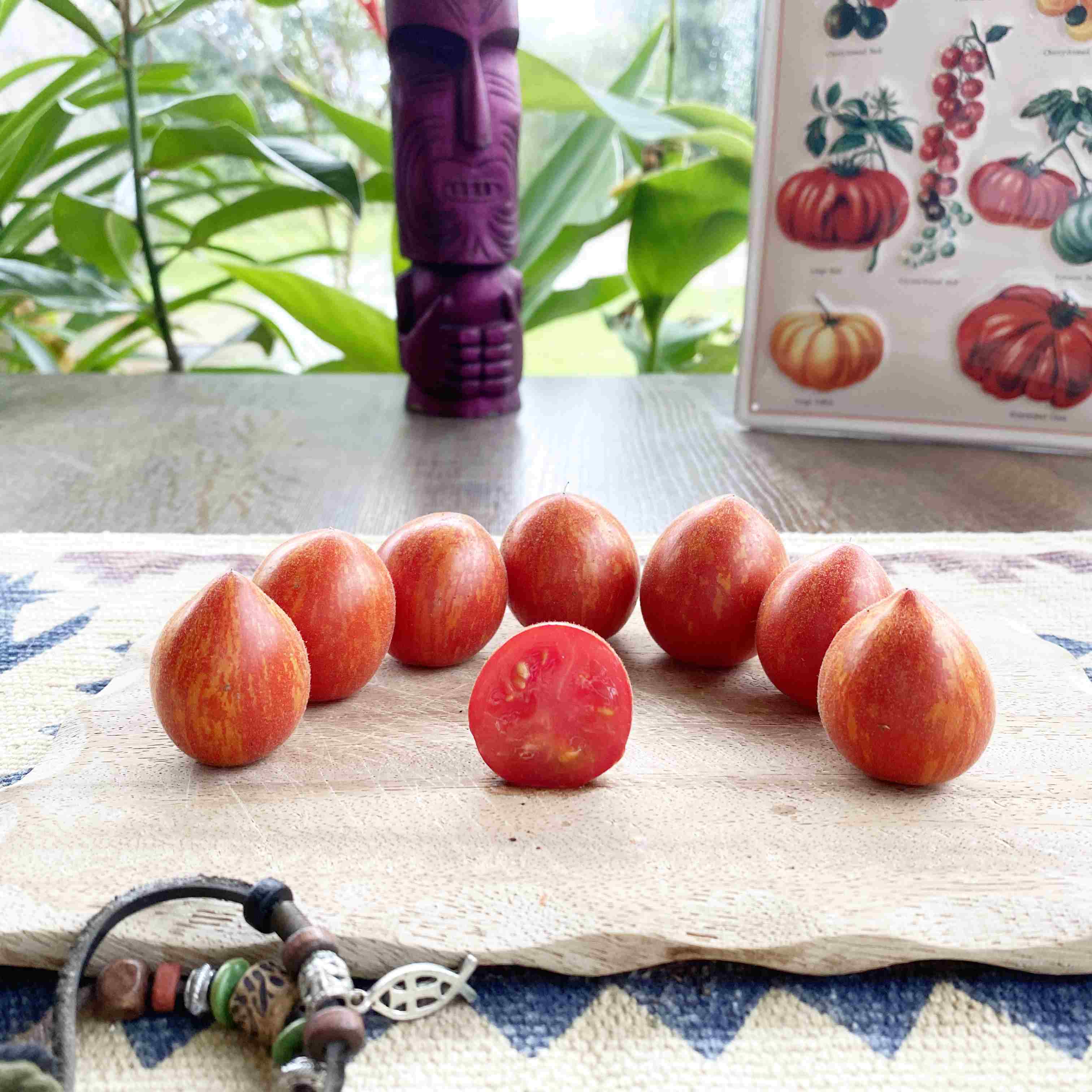 Tomatensaatgut Fuzzy Wuzzy