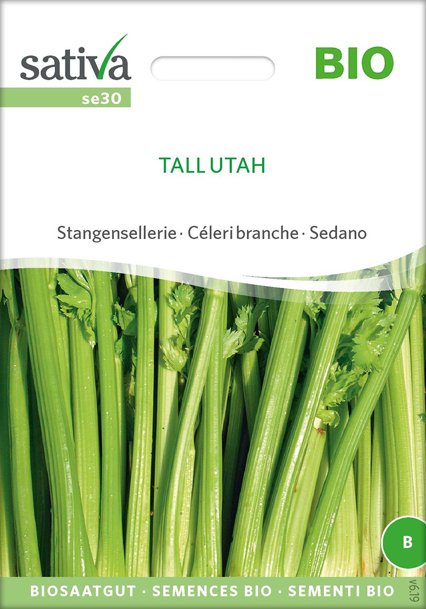 Saatgut Stangensellerie Tall Utah -S- 