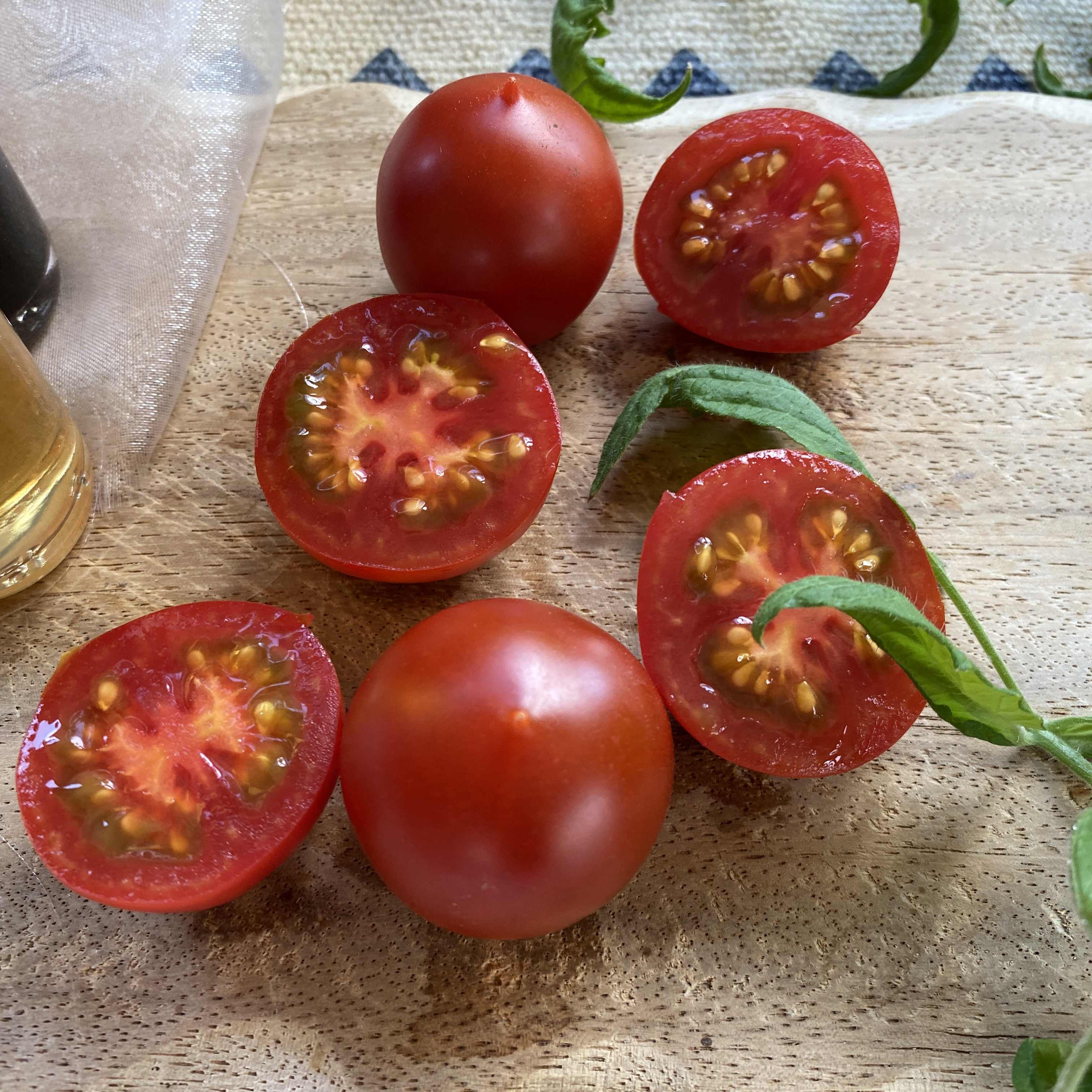 Tomatensaatgut Rancho Solito
