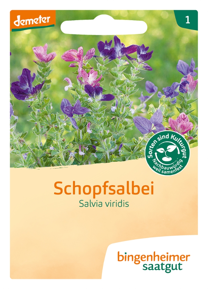 Saatgut Schopfsalbei -B-