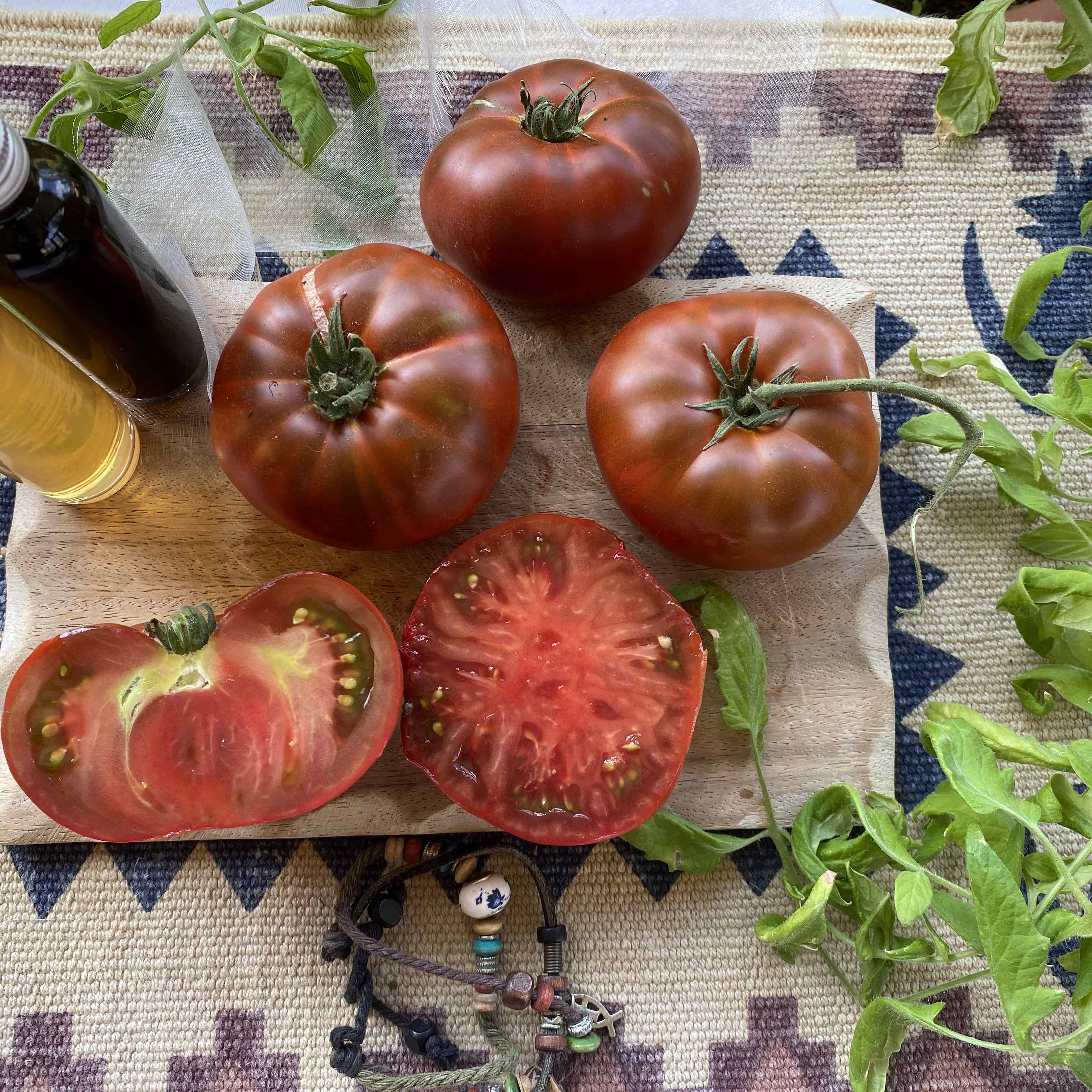 Tomatensaatgut Tasmanian Chocolate