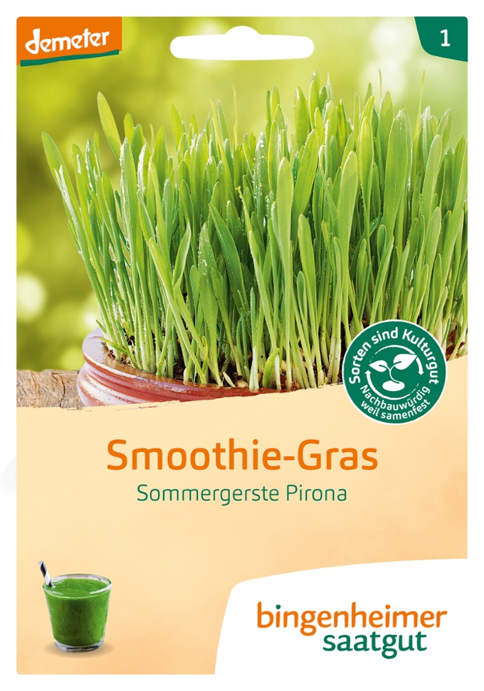 Saatgut Smoothie Gras -B-