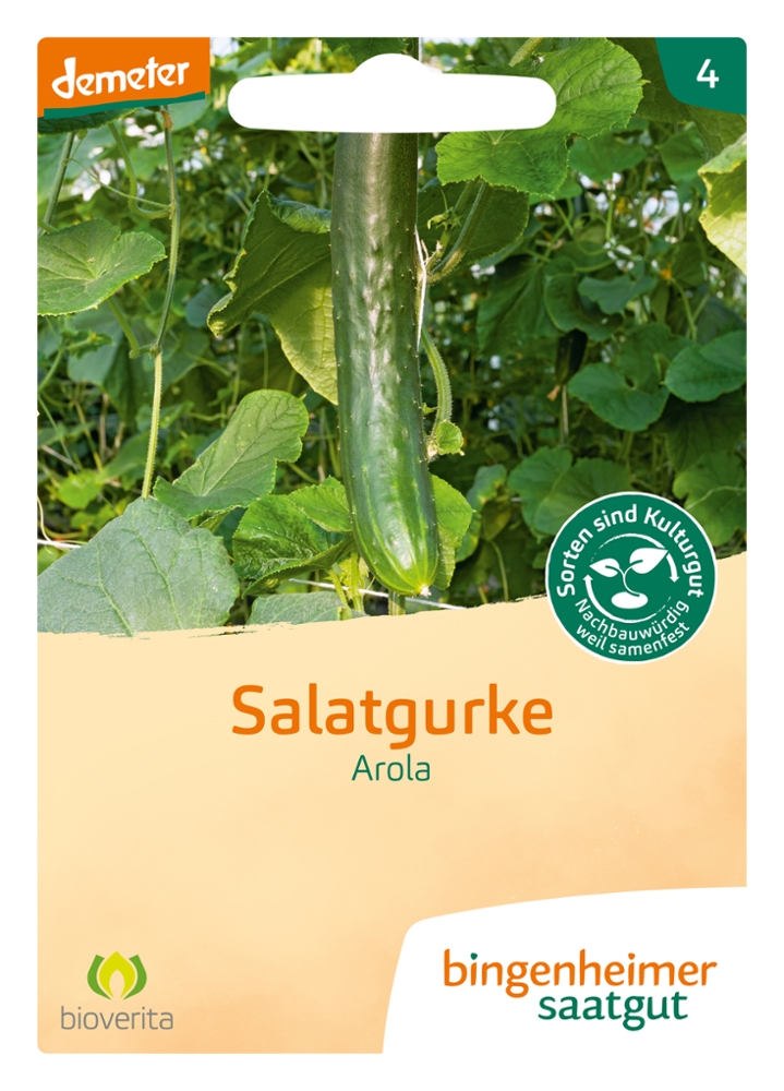 Saatgut Salatgurke Arola -B-