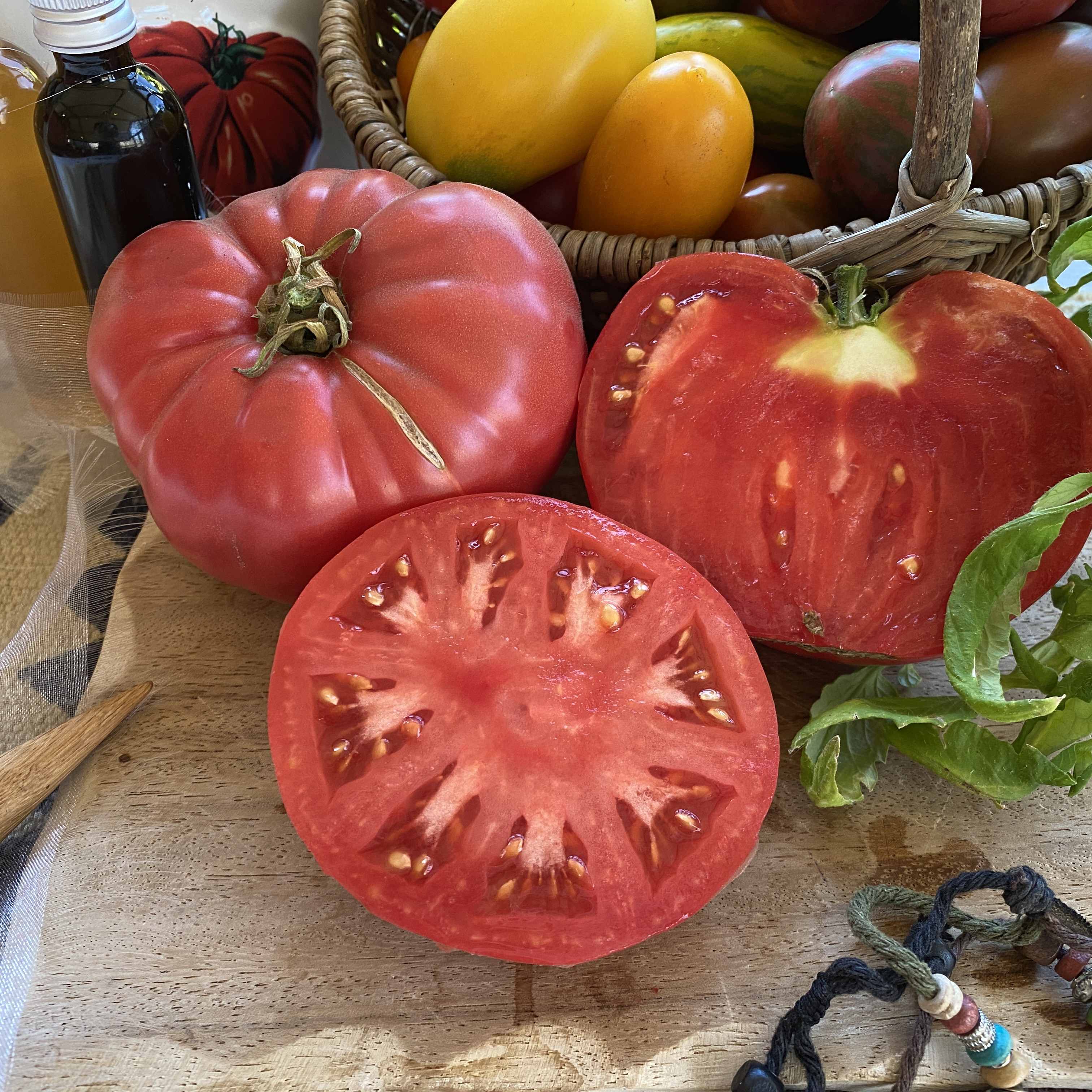 Tomatensaatgut Chianty Rosé