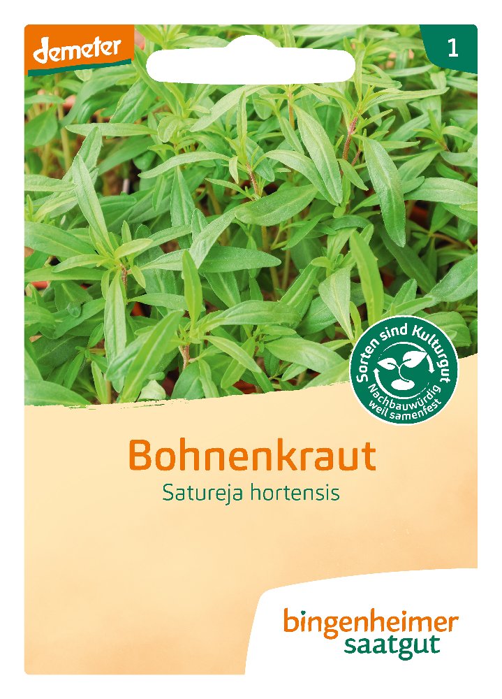 Saatgut Bohnenkraut Saturn -B-