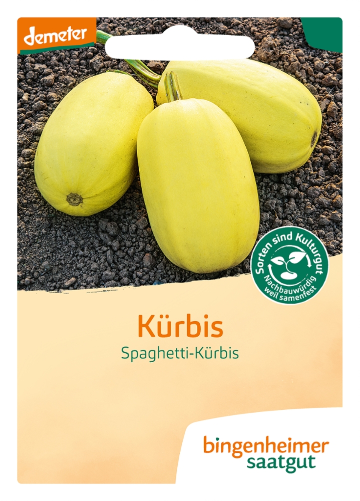 Saatgut Kürbis Spaghetti -B-