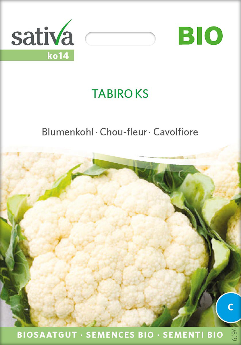 Saatgut Blumenkohl Tabiro -S- 