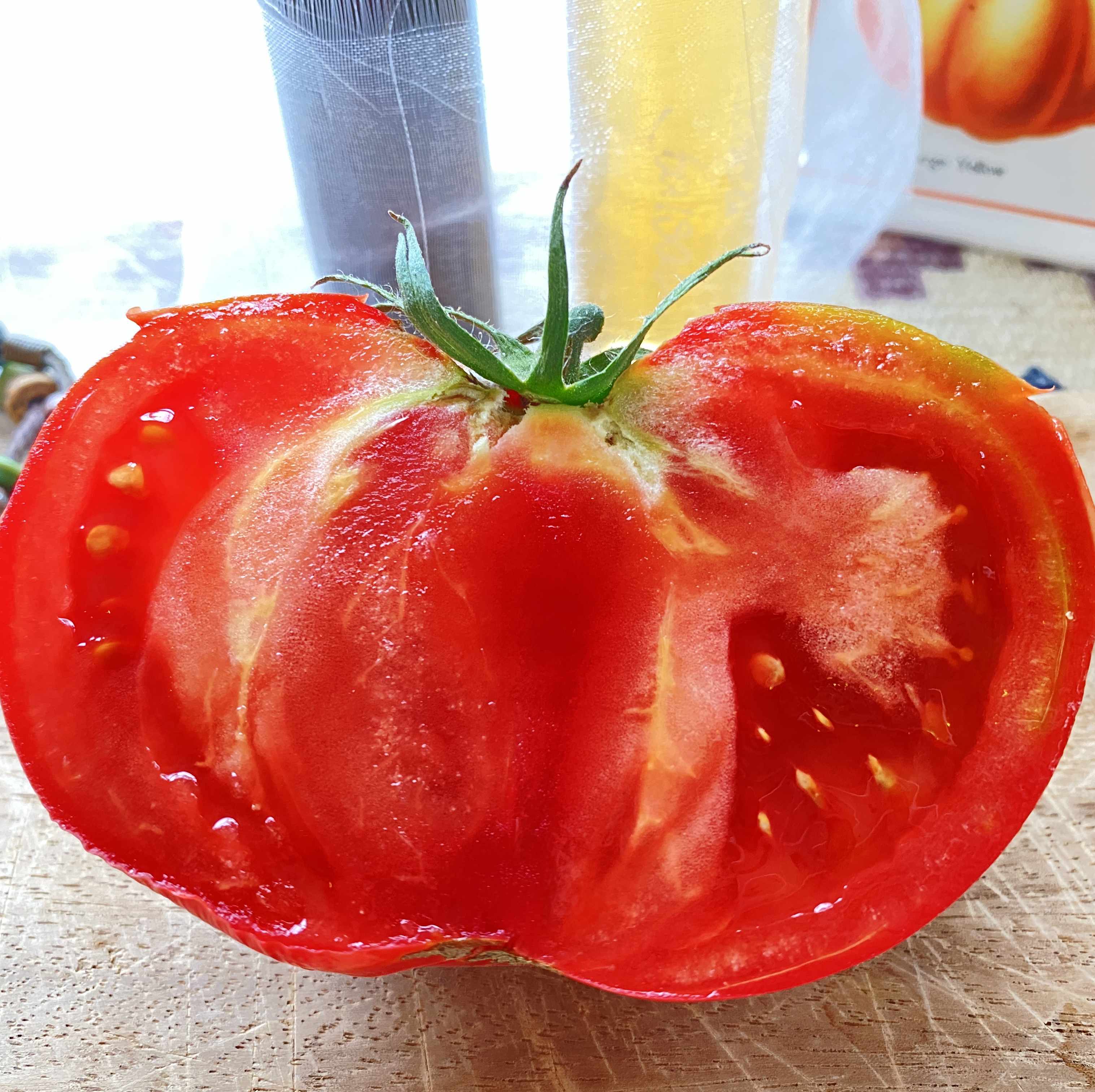 Tomatensaatgut Altaisky
