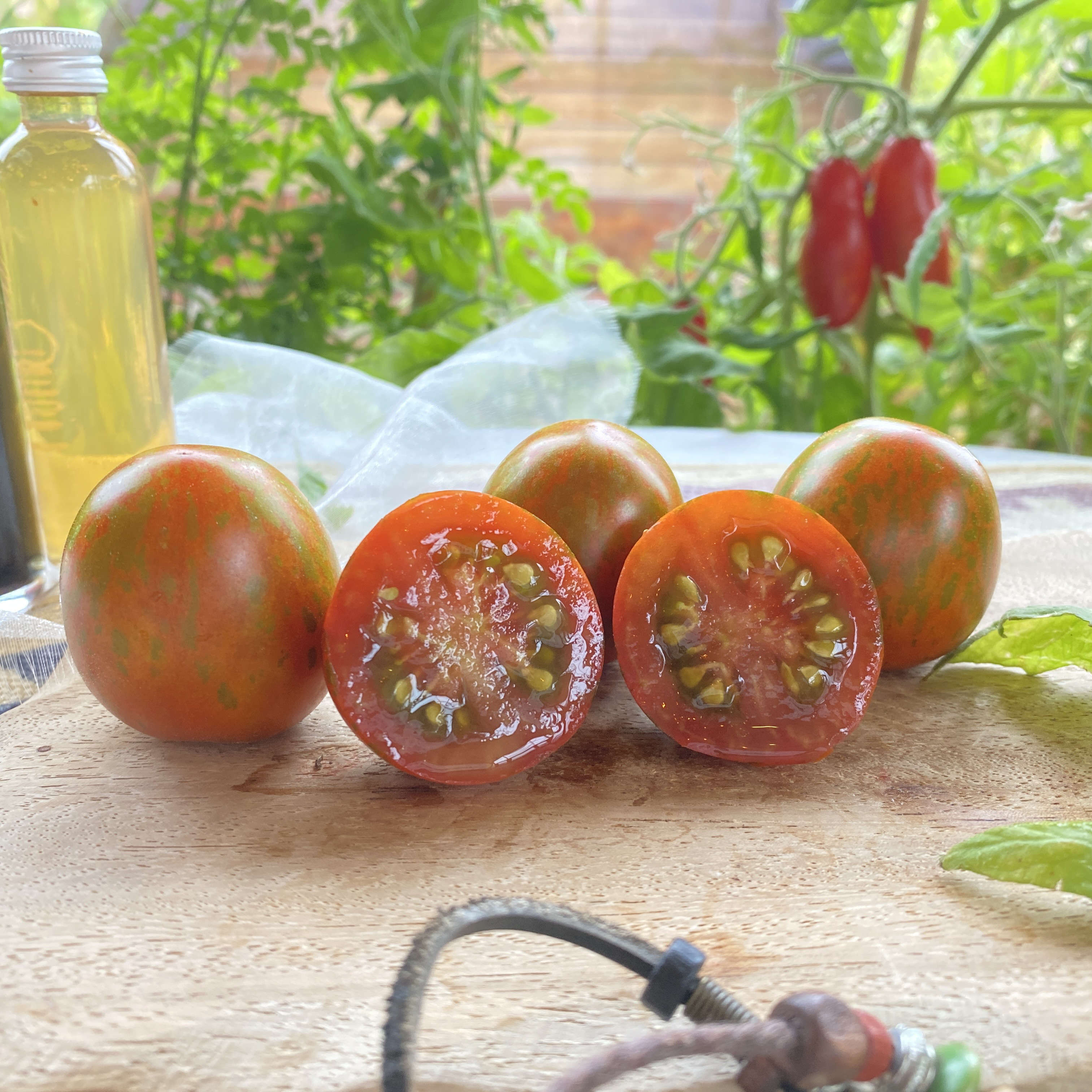 Tomatensaatgut Ania