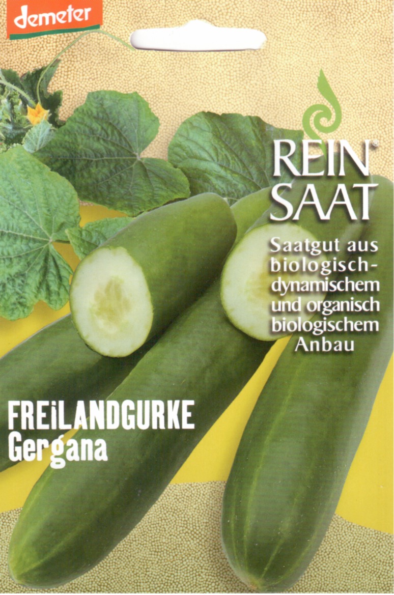 Saatgut Freilandgurke Gergana -R-