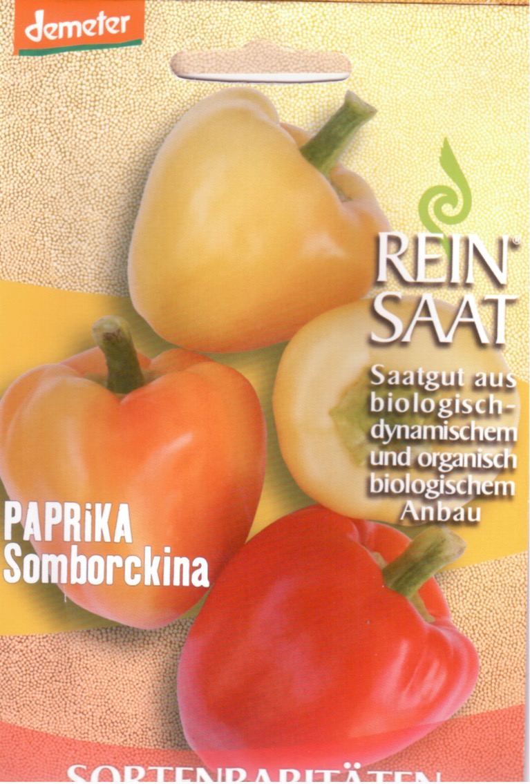 Saatgut Scharfe Paprika Somborckina -R-