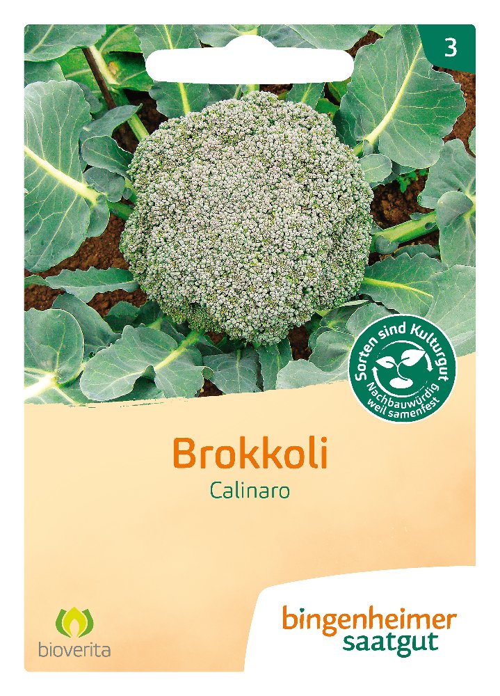 Saatgut Brokkoli Calinaro -B-