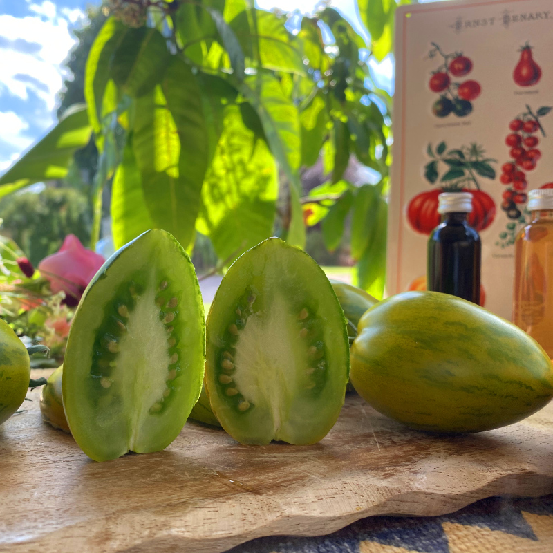 Grüne Demeter Tomate mit wunderbaren geschmack