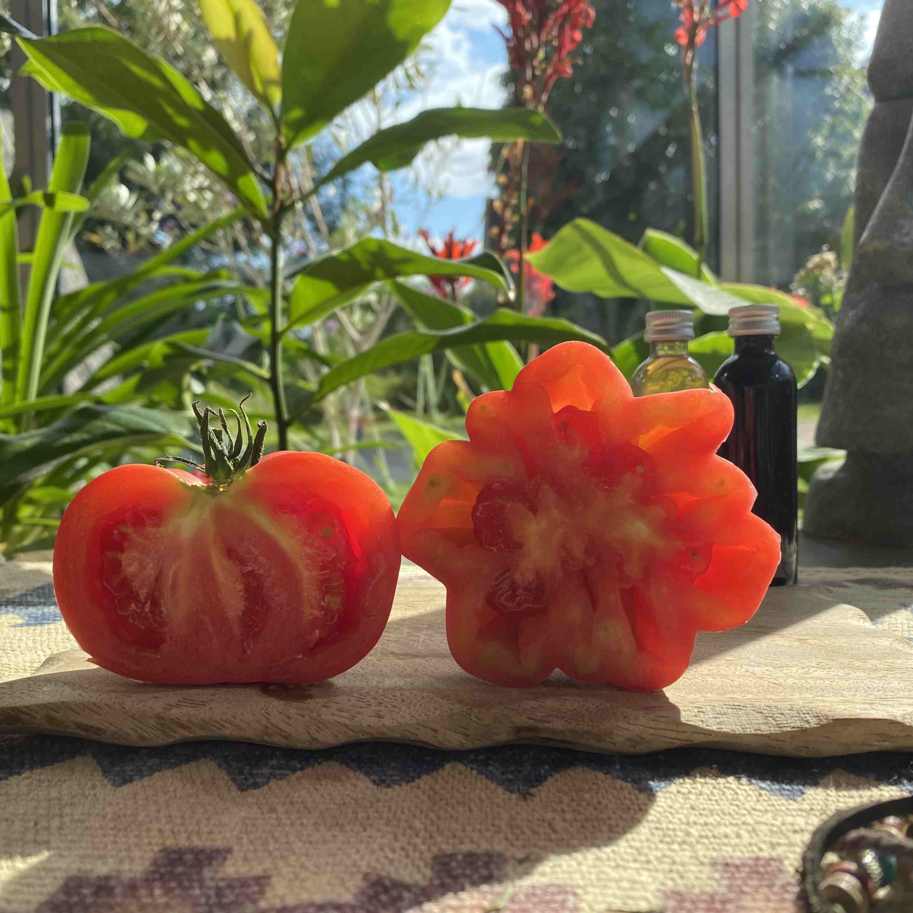 Tomatensaatgut Oaxacan Pink