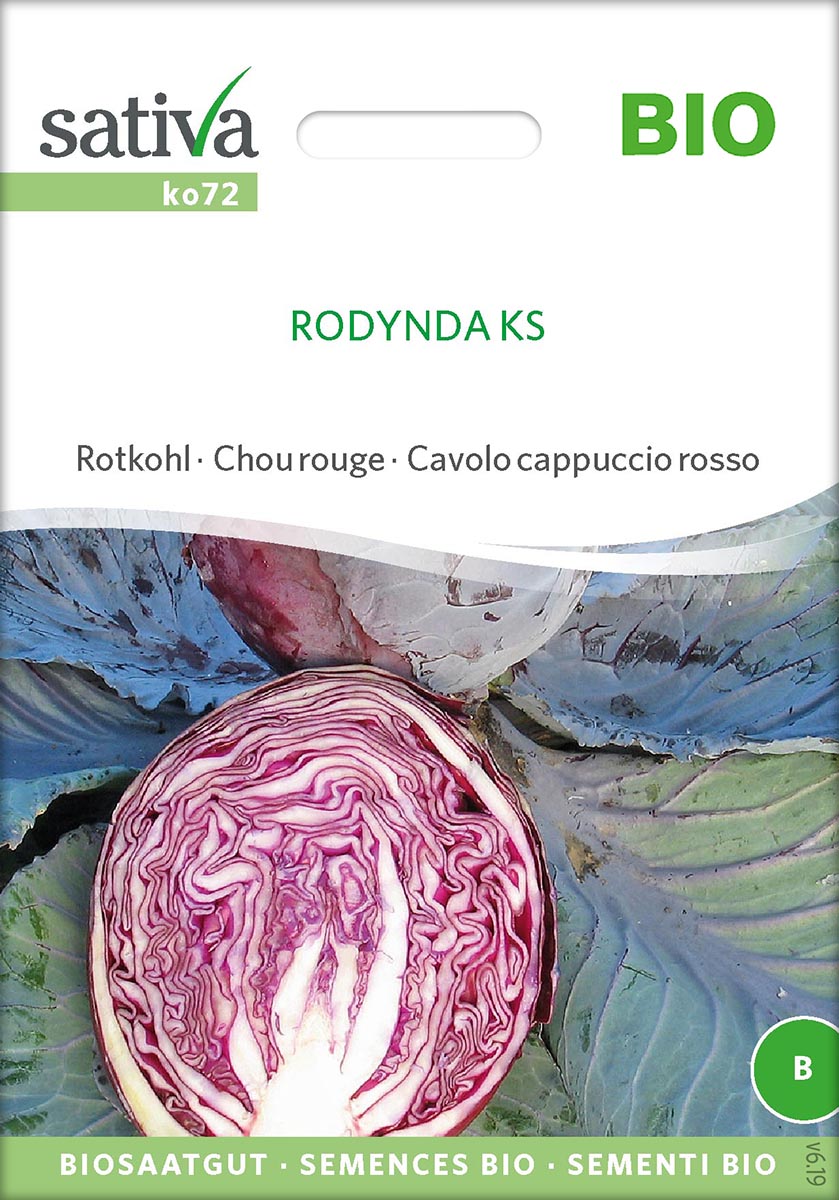 Saatgut Rotkohl Rodynda -S-