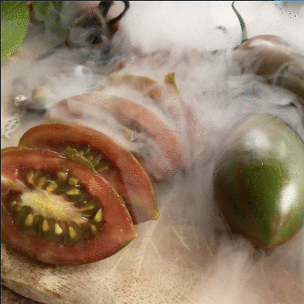 Schöne Braune Tomatenpflanze