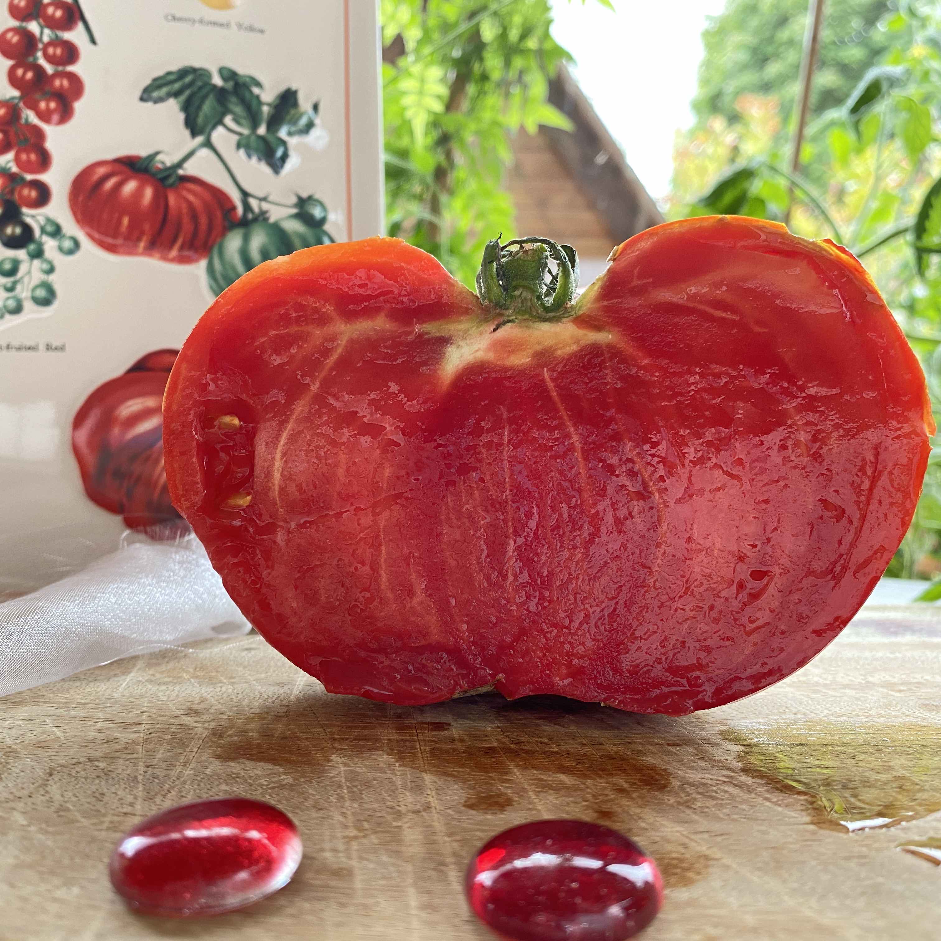 Tomatensaatgut Bärentatze
