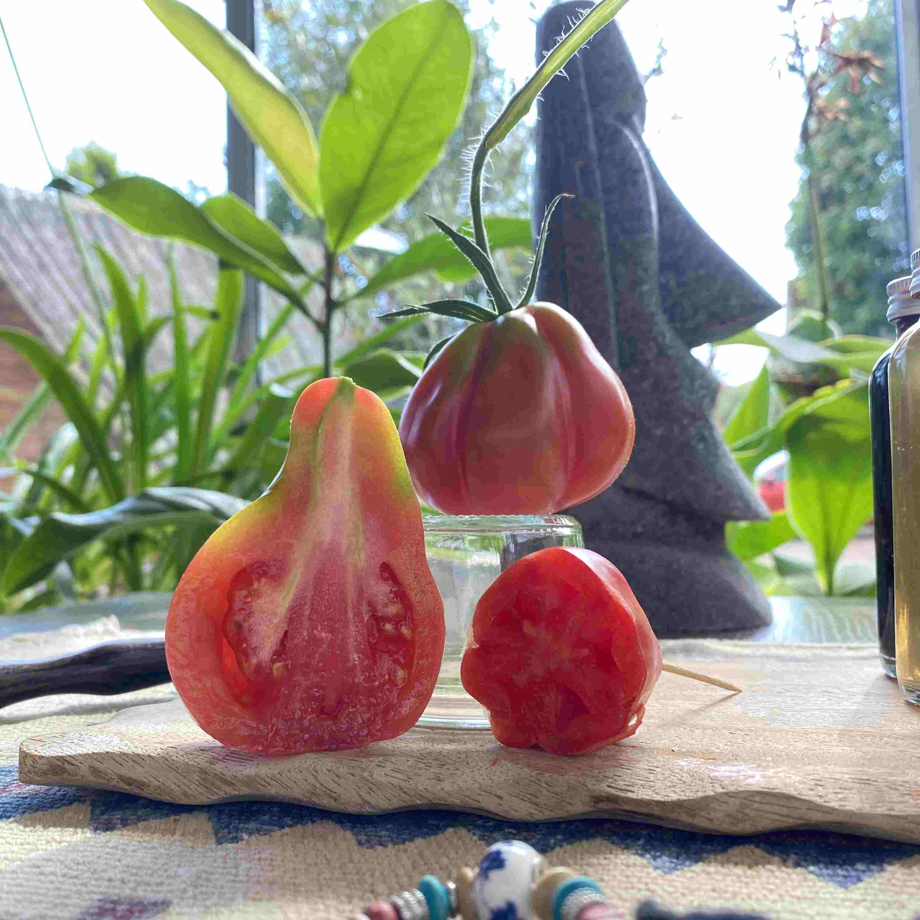 Tomatensaatgut Tlacolula Pink