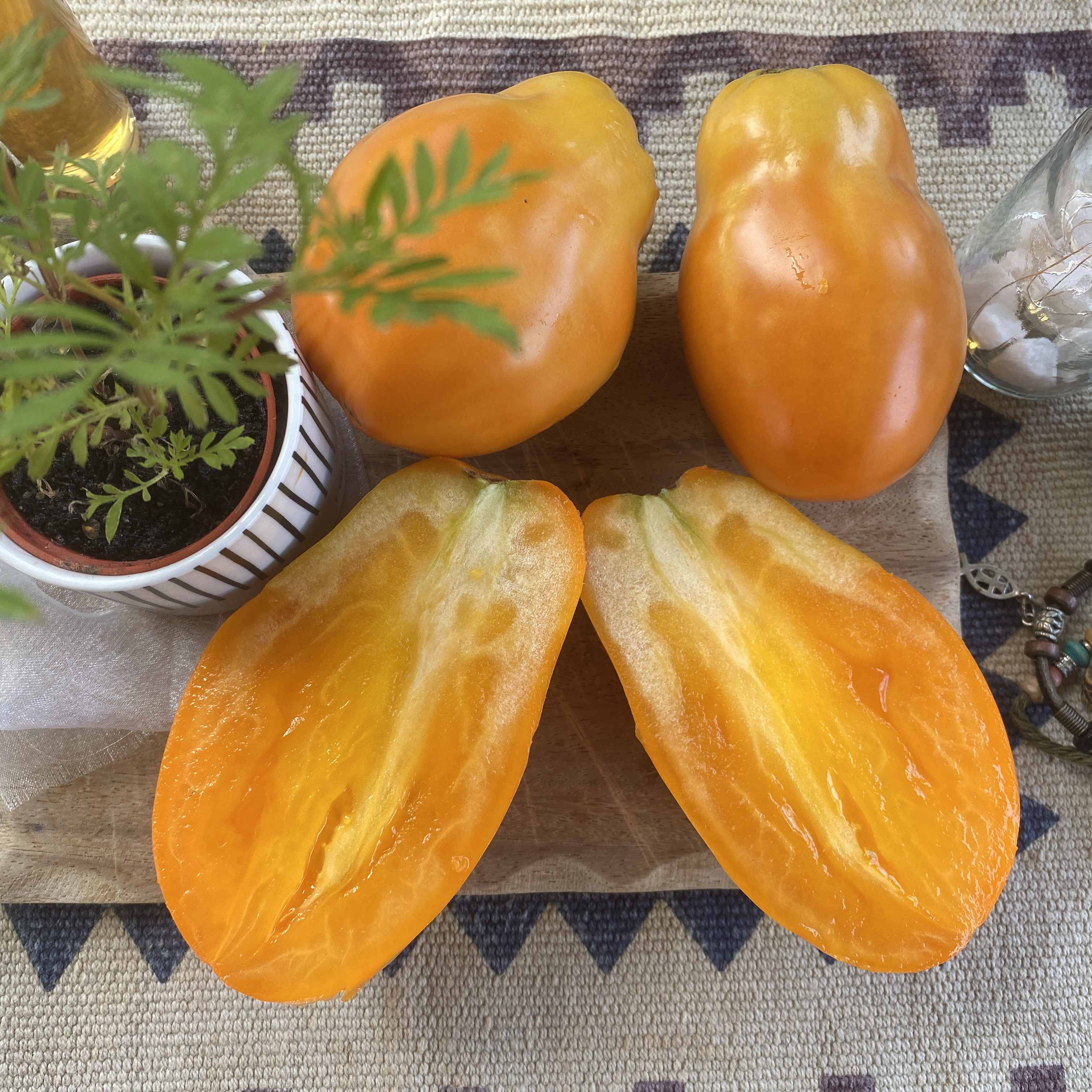 Tomatensaatgut Ochsenherz Orange