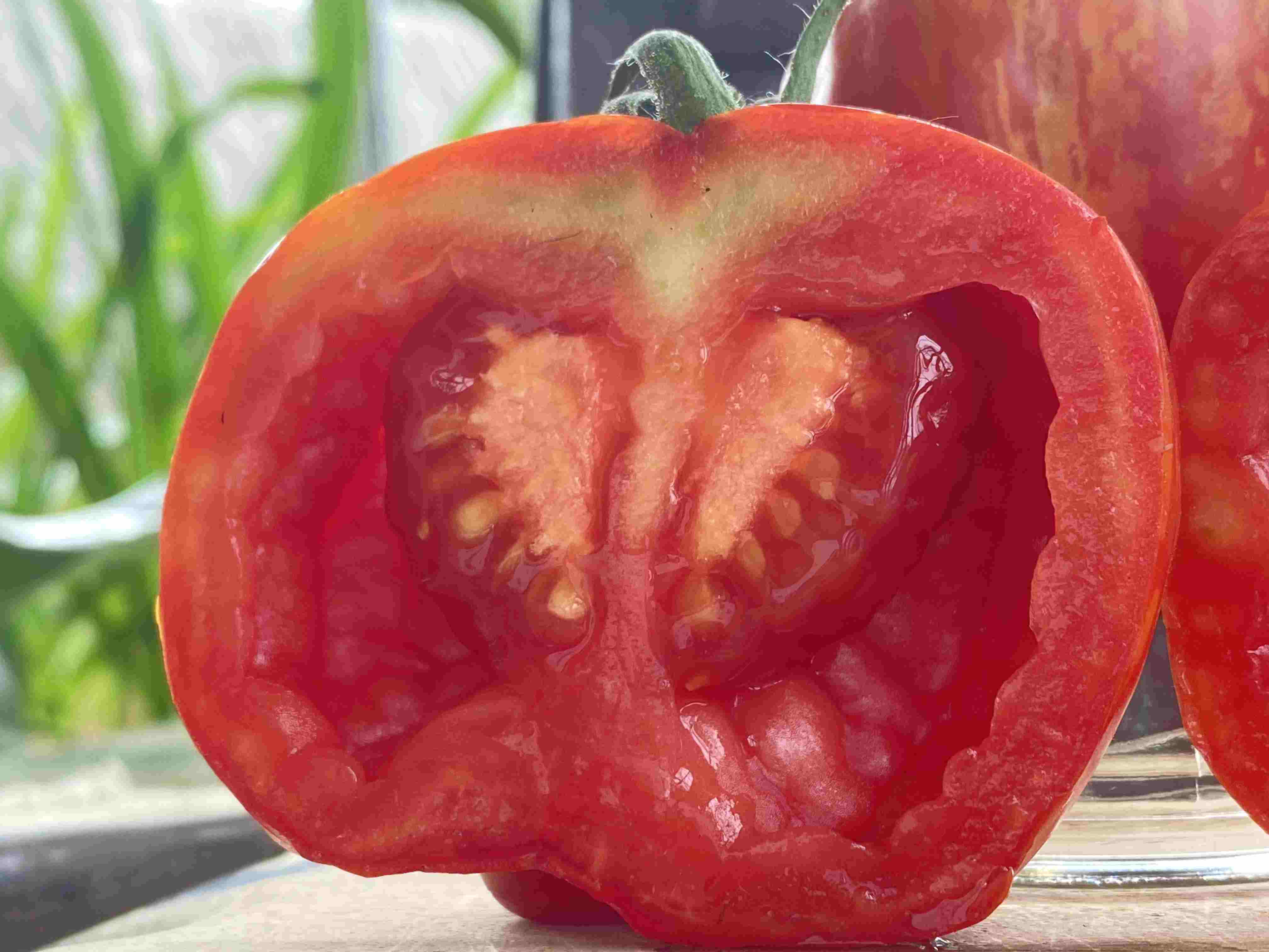 Tomatensaatgut Striped Cavern