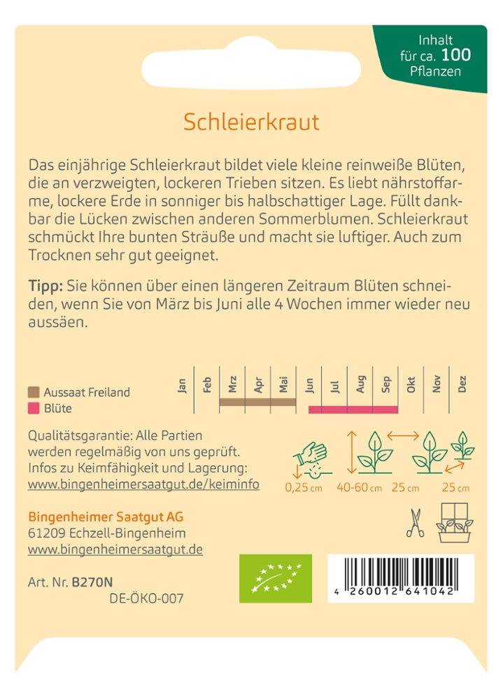 Saatgut Schleierkraut -B-