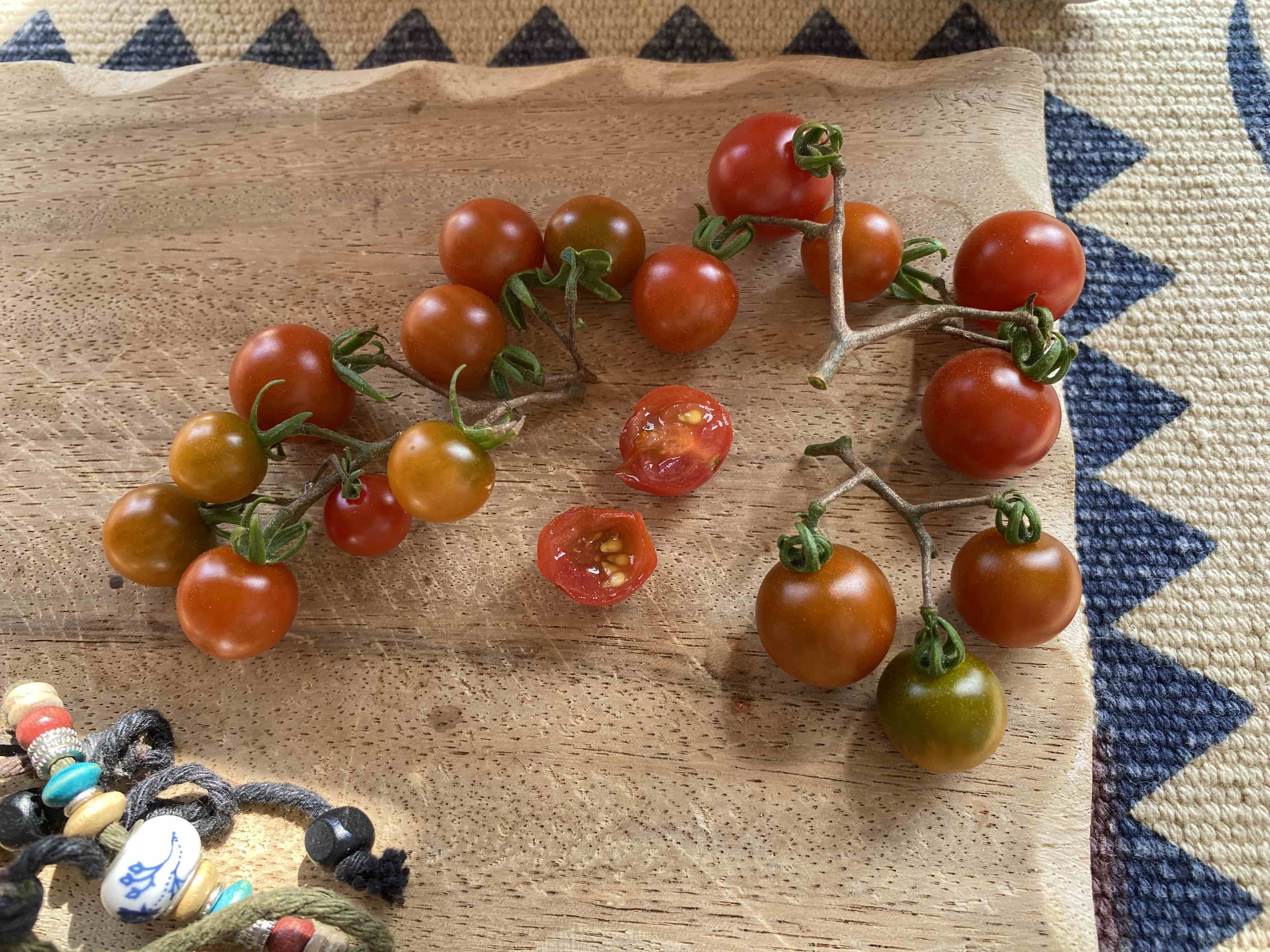 Tomatensaatgut Lady Bird