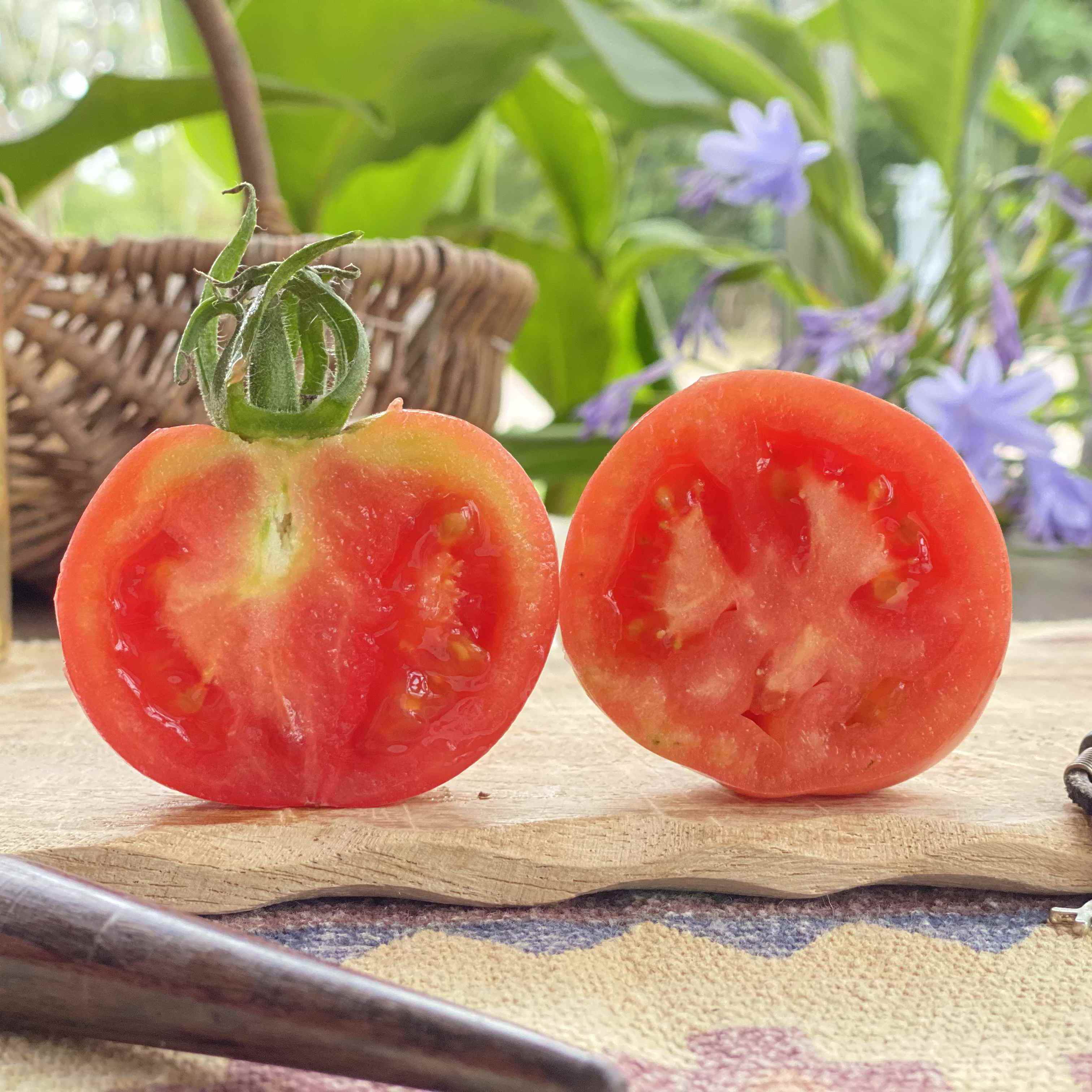 Rote aufgeschnittene sonnendruchstrahlte Tomate