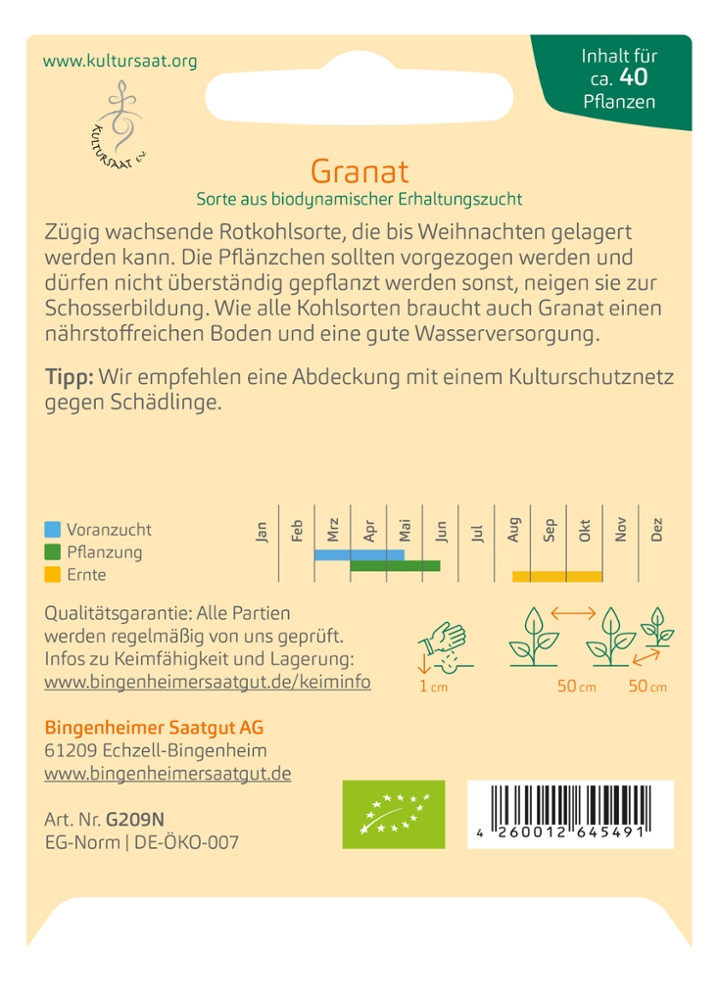 Saatgut Rotkohl Granat -B- 