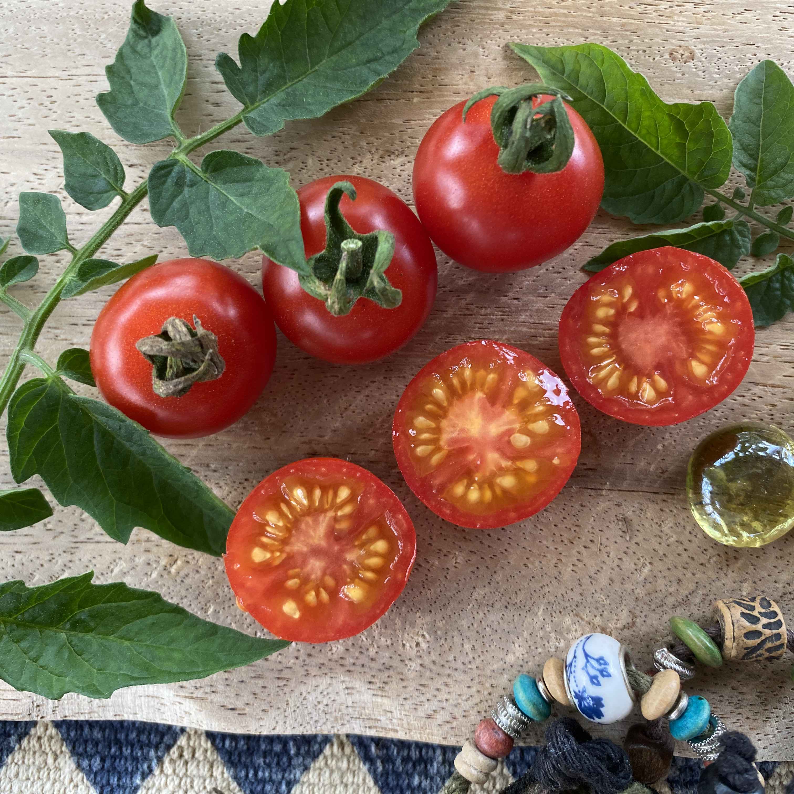 Tomatensaatgut Tonadose de Conores