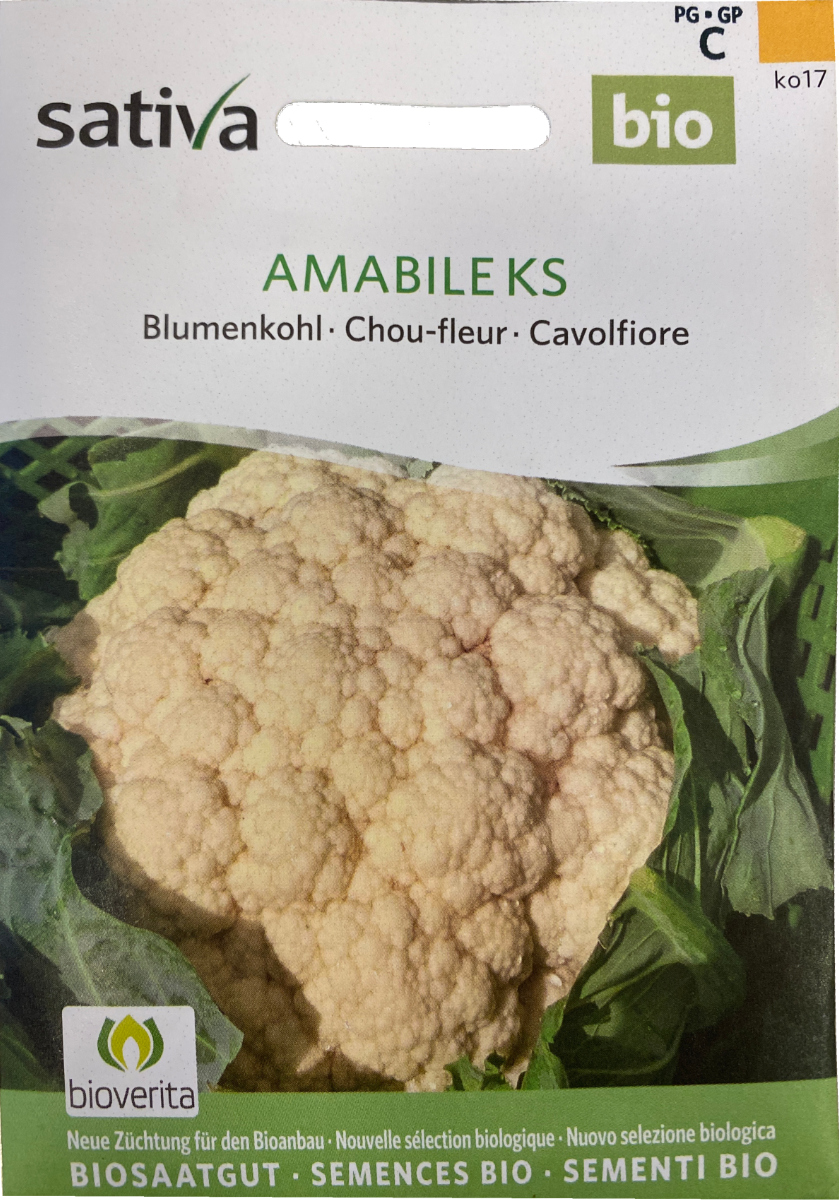 Saatgut Blumenkohl Amabile -S-  