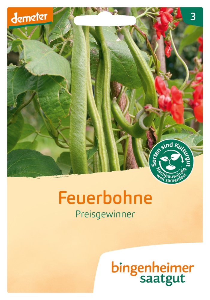 Saatgut Feuerbohne Preisgewinner -B-