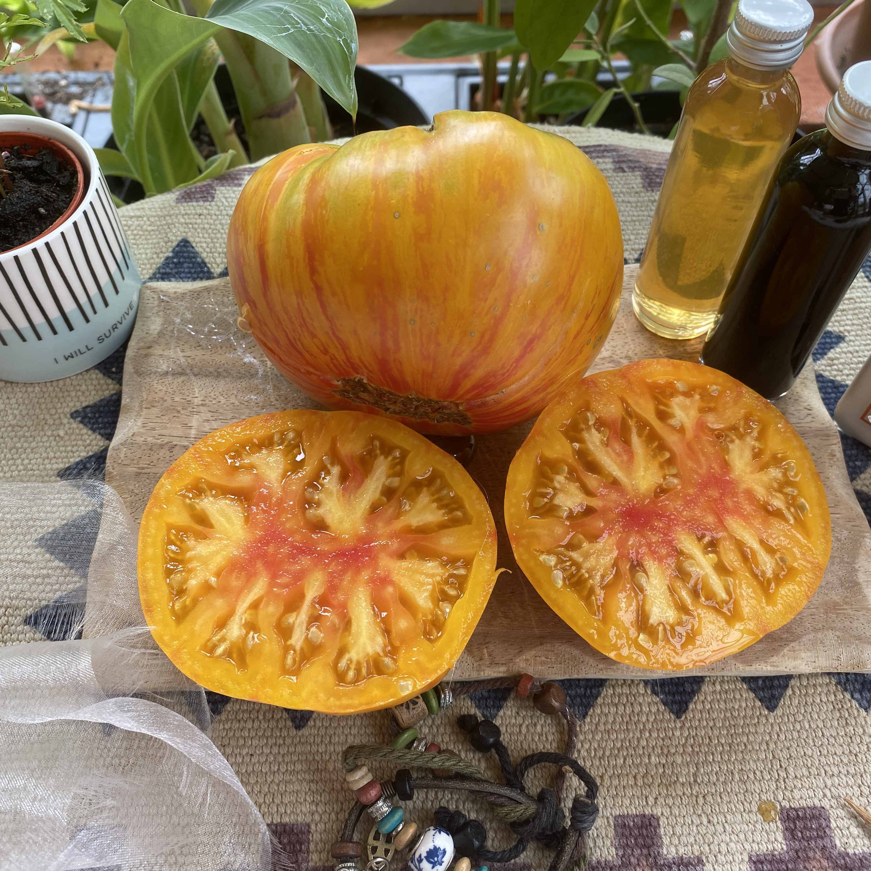 Tomatensaatgut Lover's Lunch