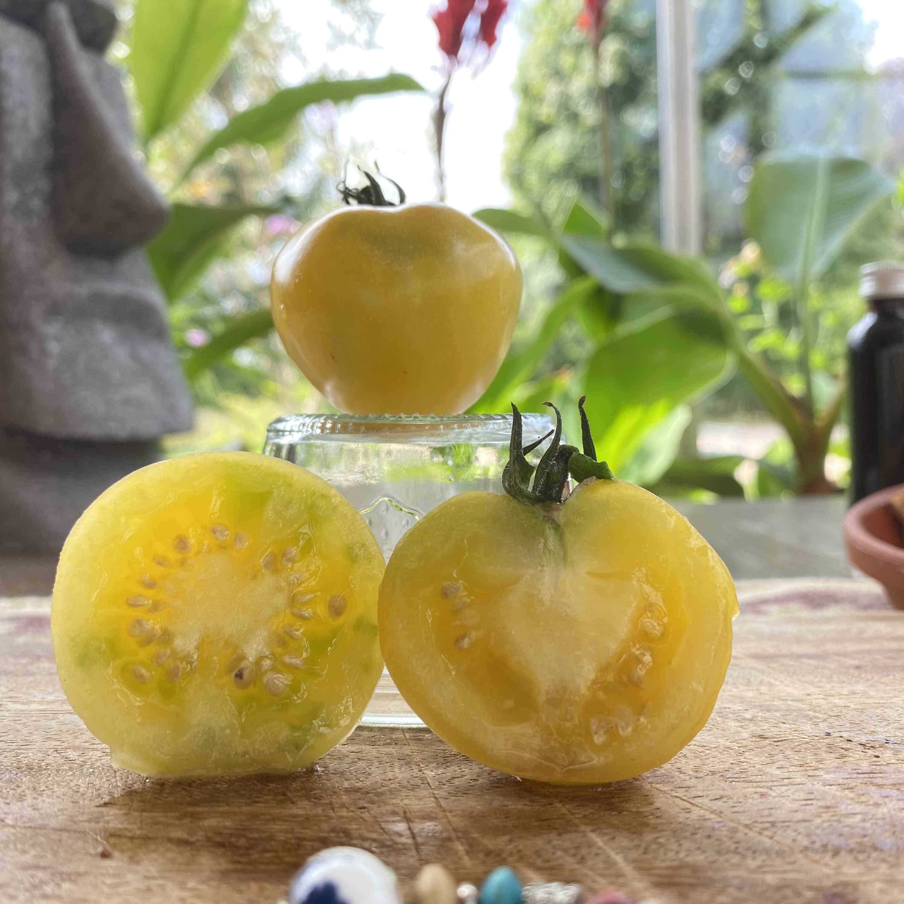 Tomatensaatgut Snow Prince