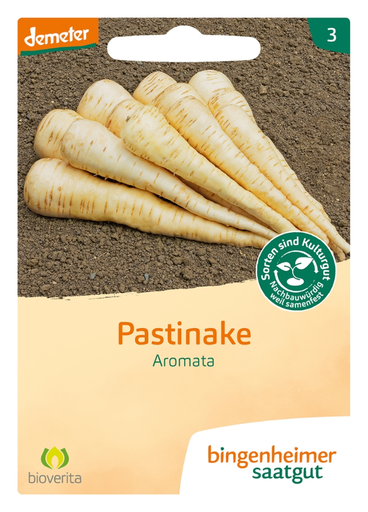 Saatgut Pastinake Aromata -B-