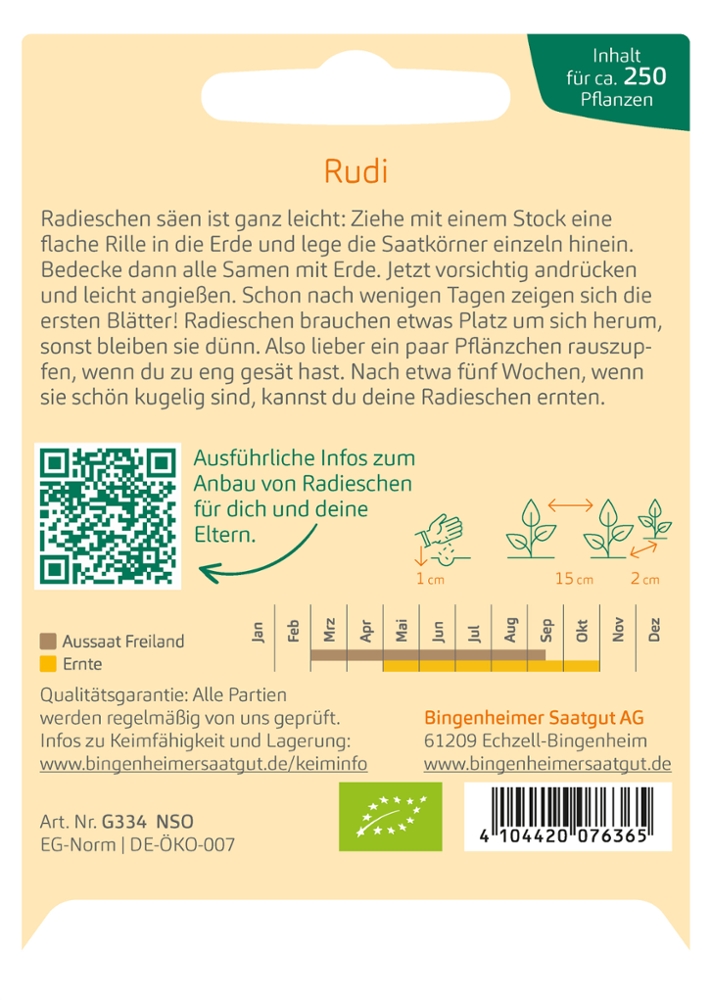Saatgut Radies Rudi -B-