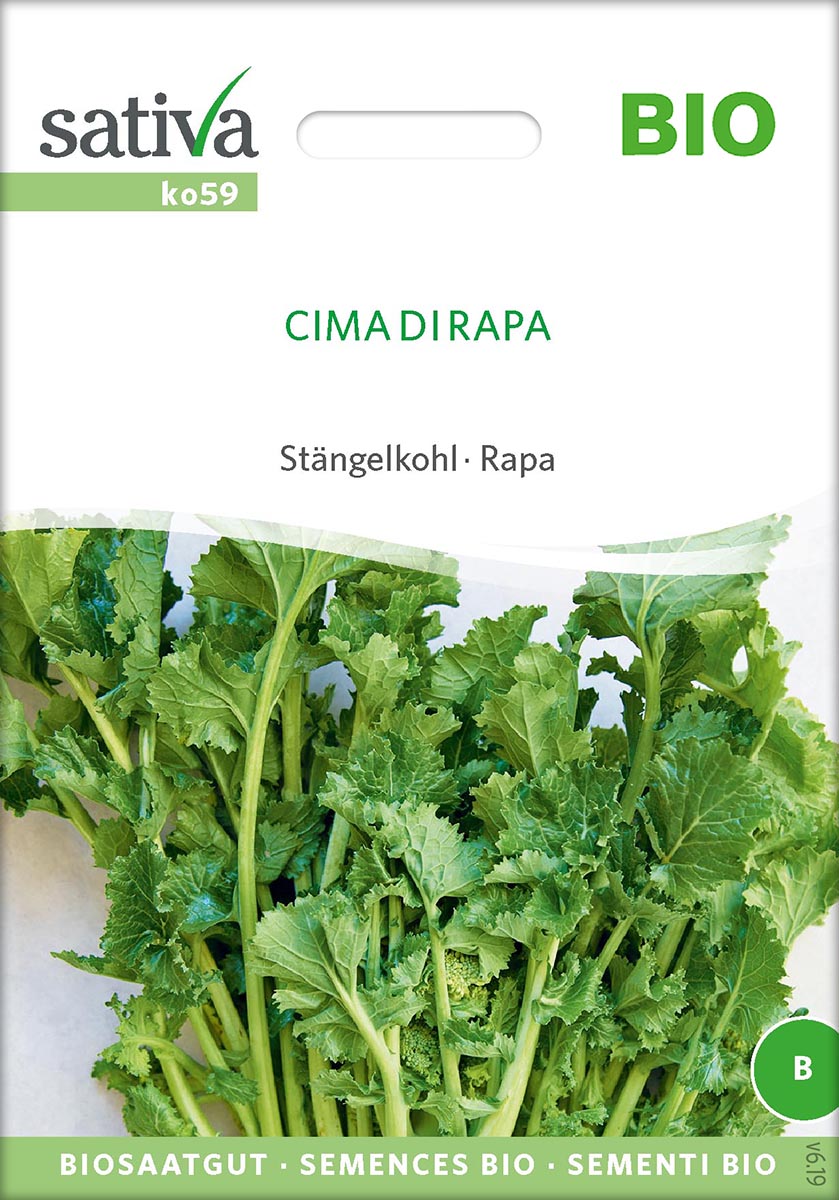 Saatgut Stängelkohl Cima di Rapa