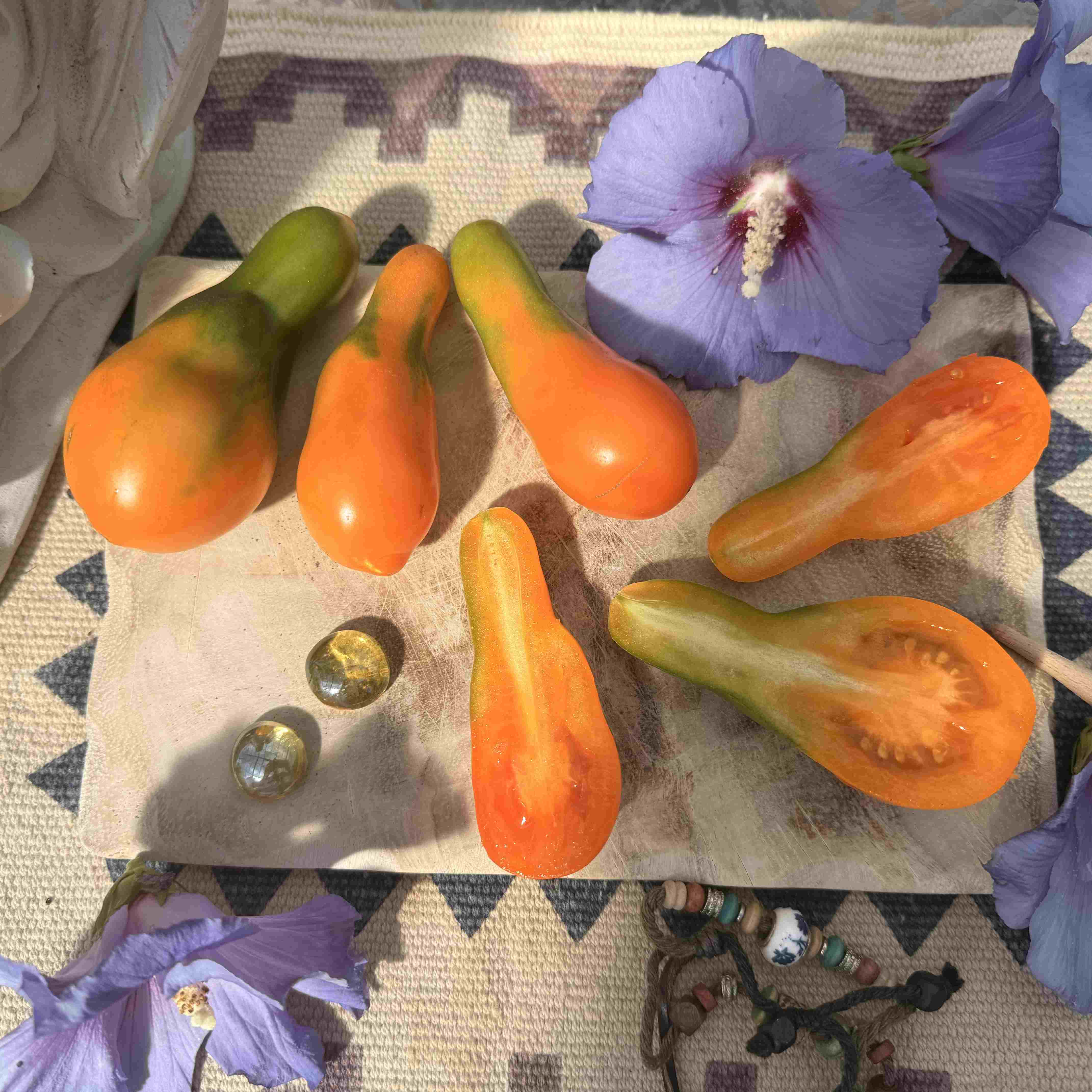 Tomatensaatgut Mila