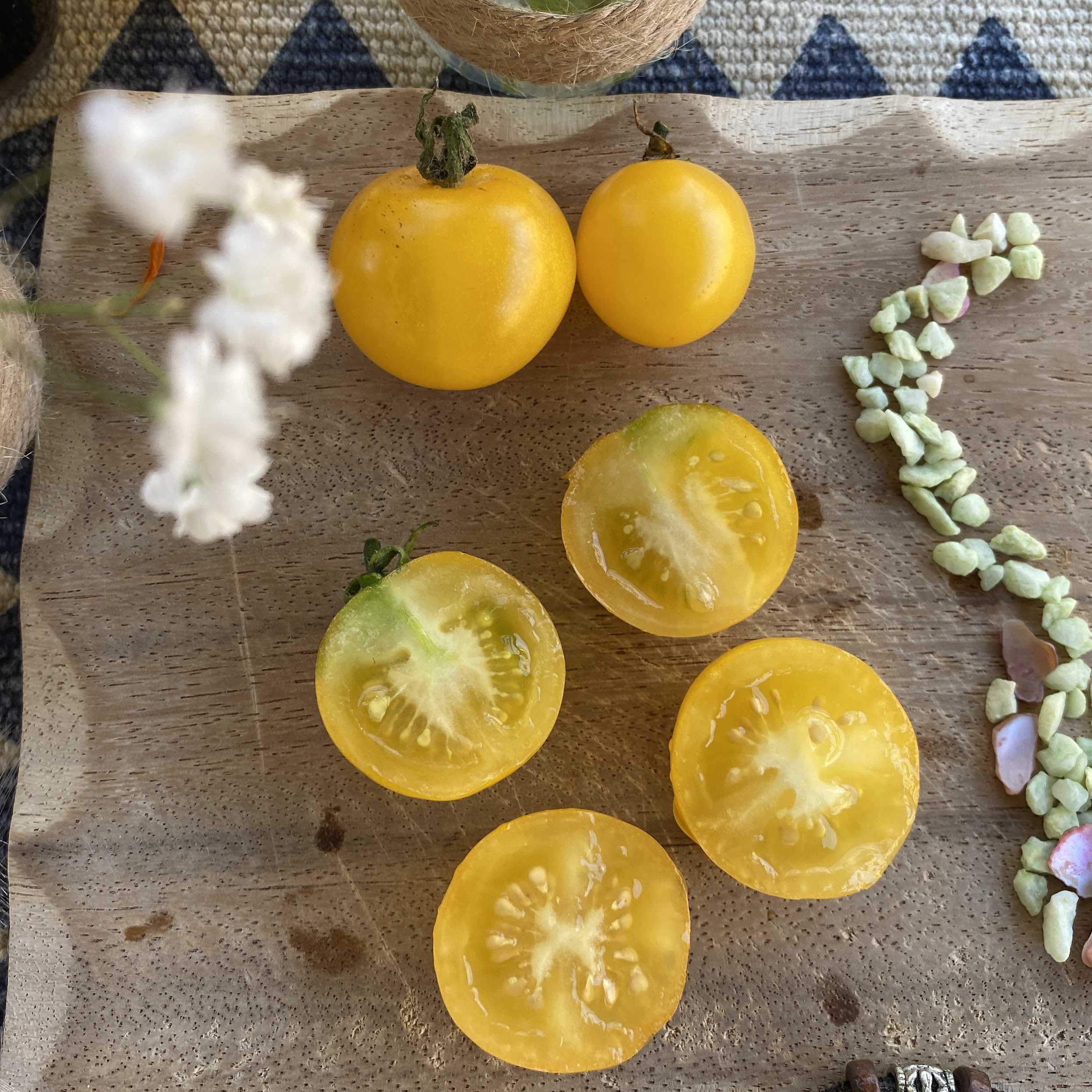 Tomatensaatgut Paulinchen