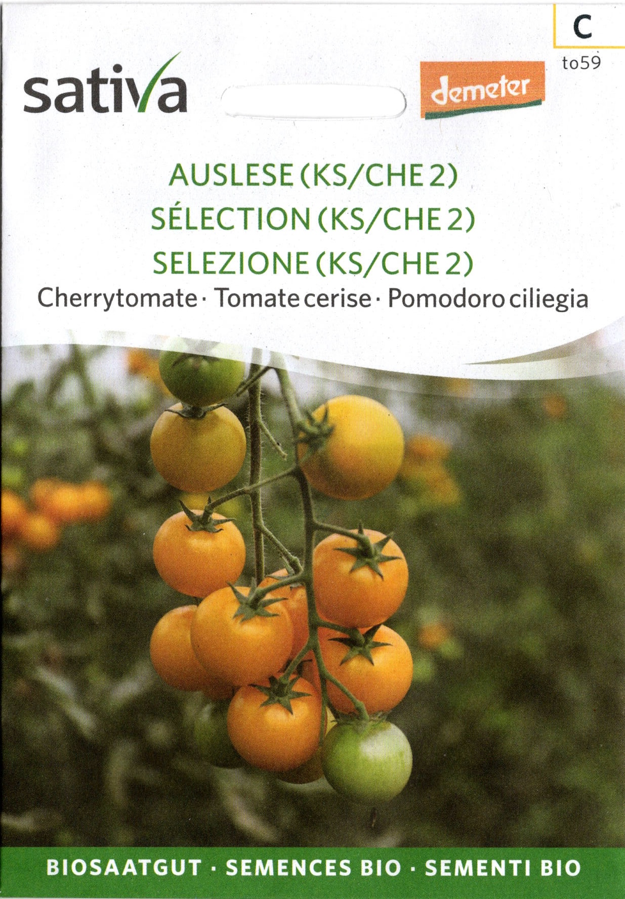 Tomatensaatgut Mareile Auslese KS/CHE2 -S-