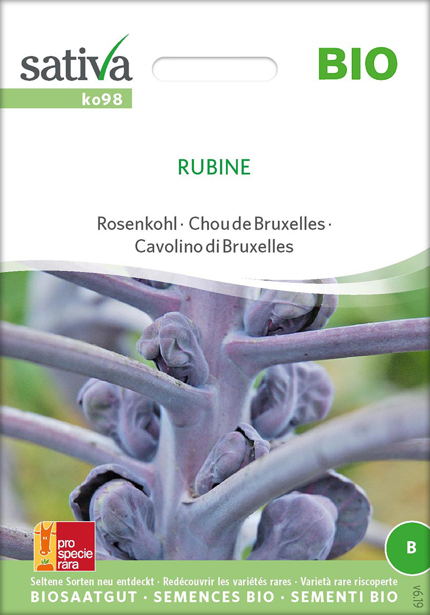 Saatgut Rosenkohl Rubine -S-