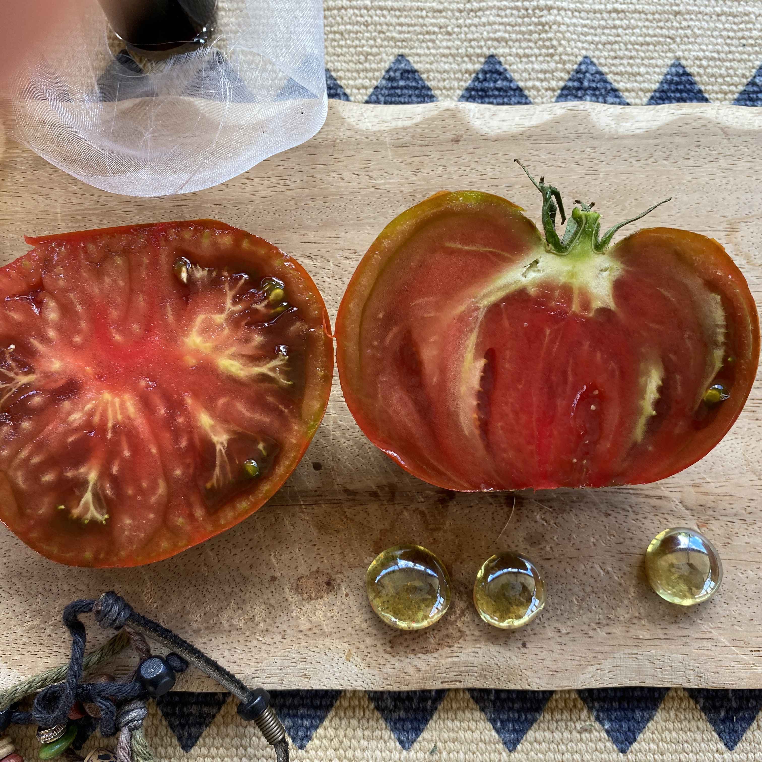 Tomatensaatgut Pol Robson
