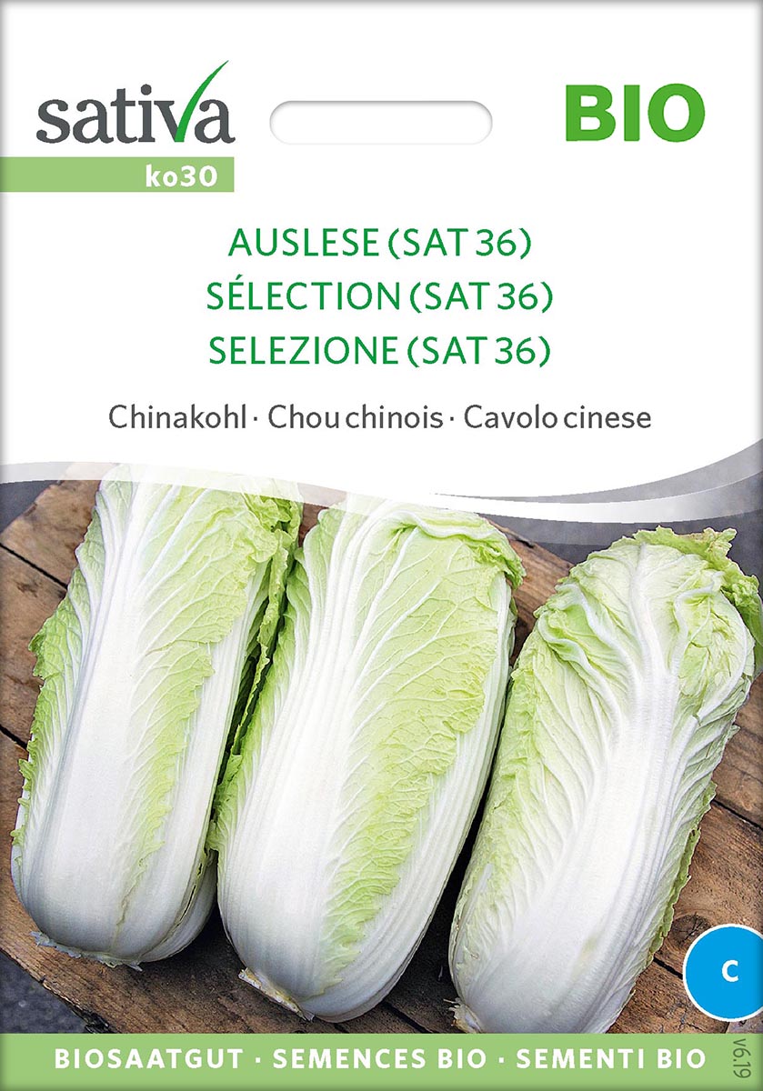 Saatgut Chinakohl Auslese -S-