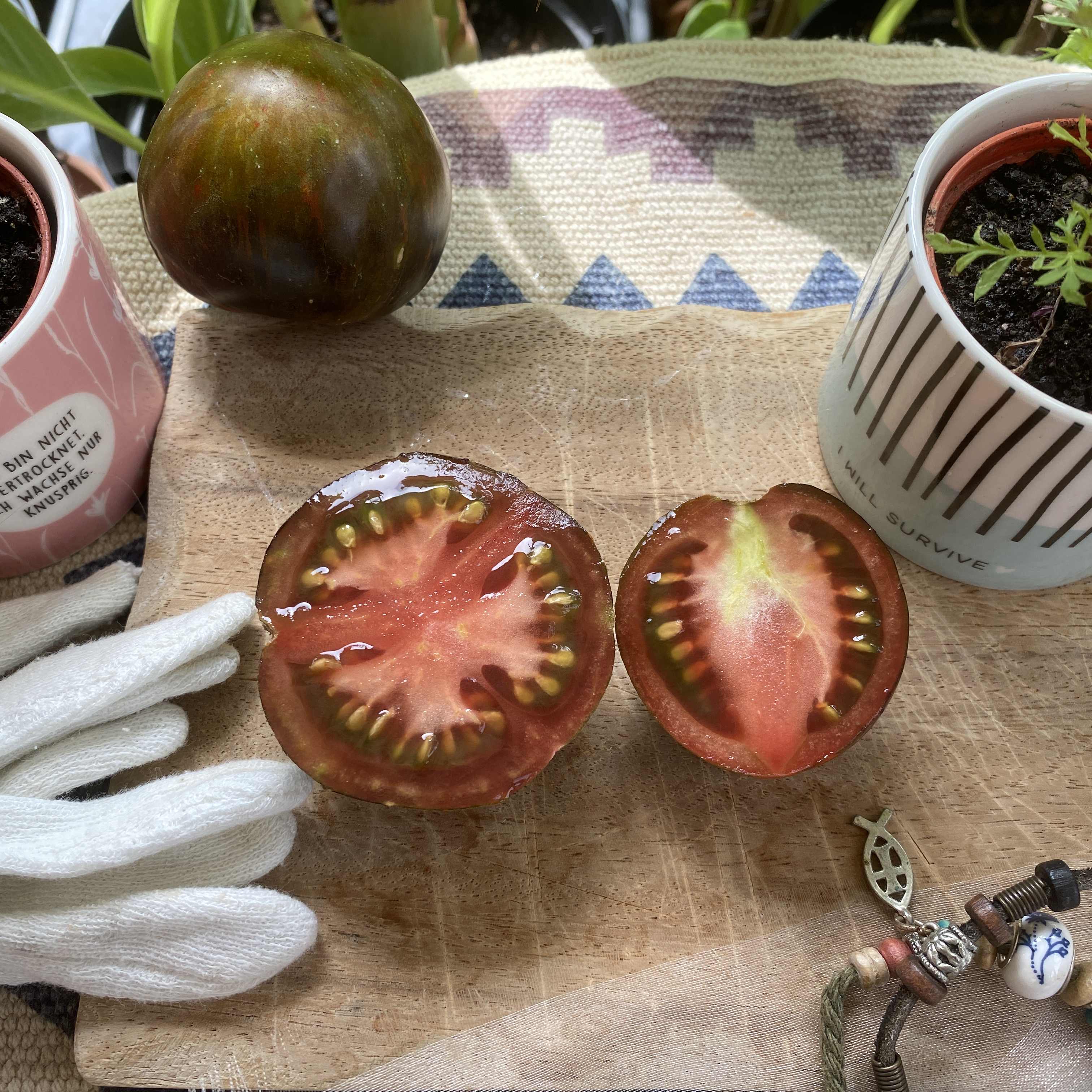 Tomatensaatgut Midnight Tiger