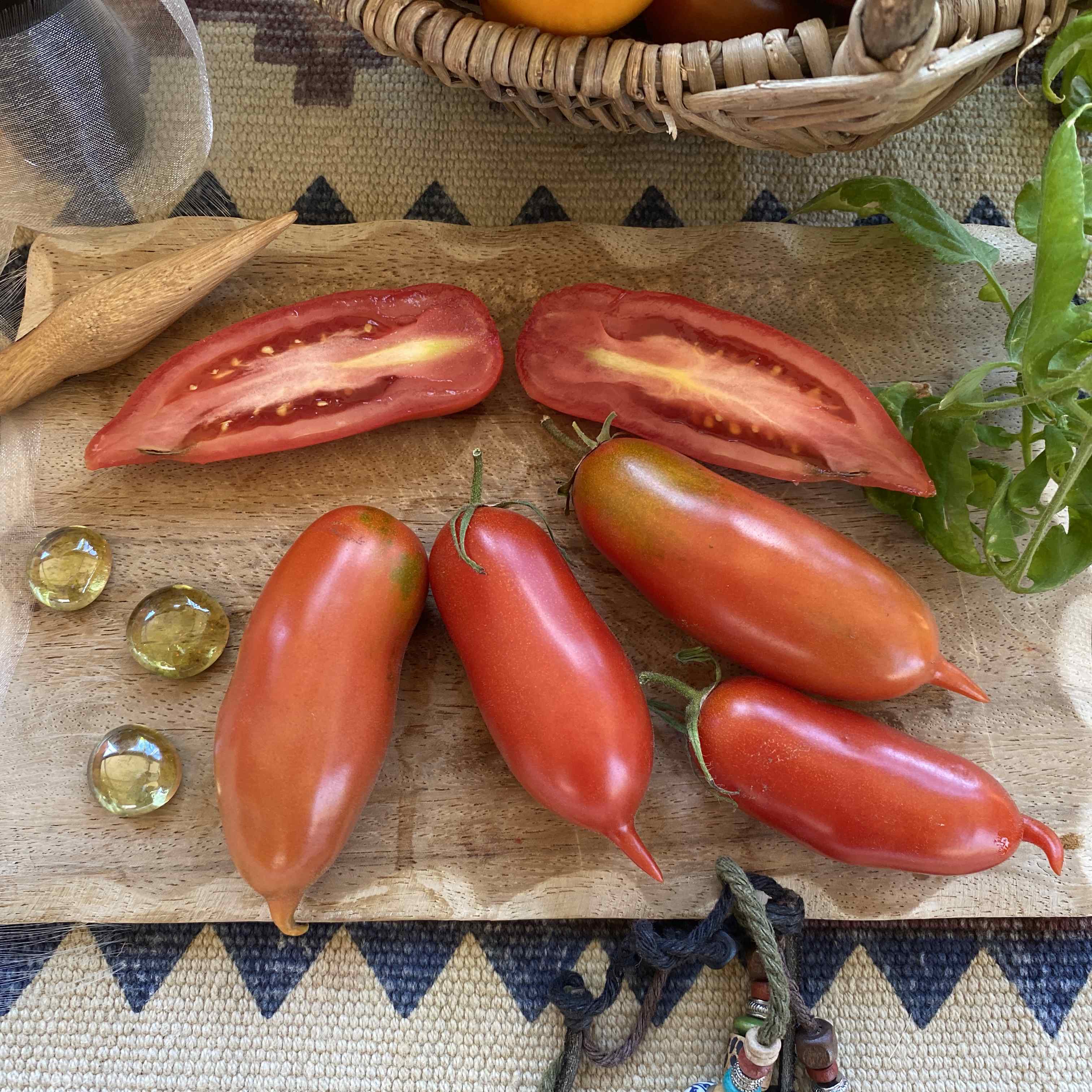 Tomatensaatgut Handy Lady