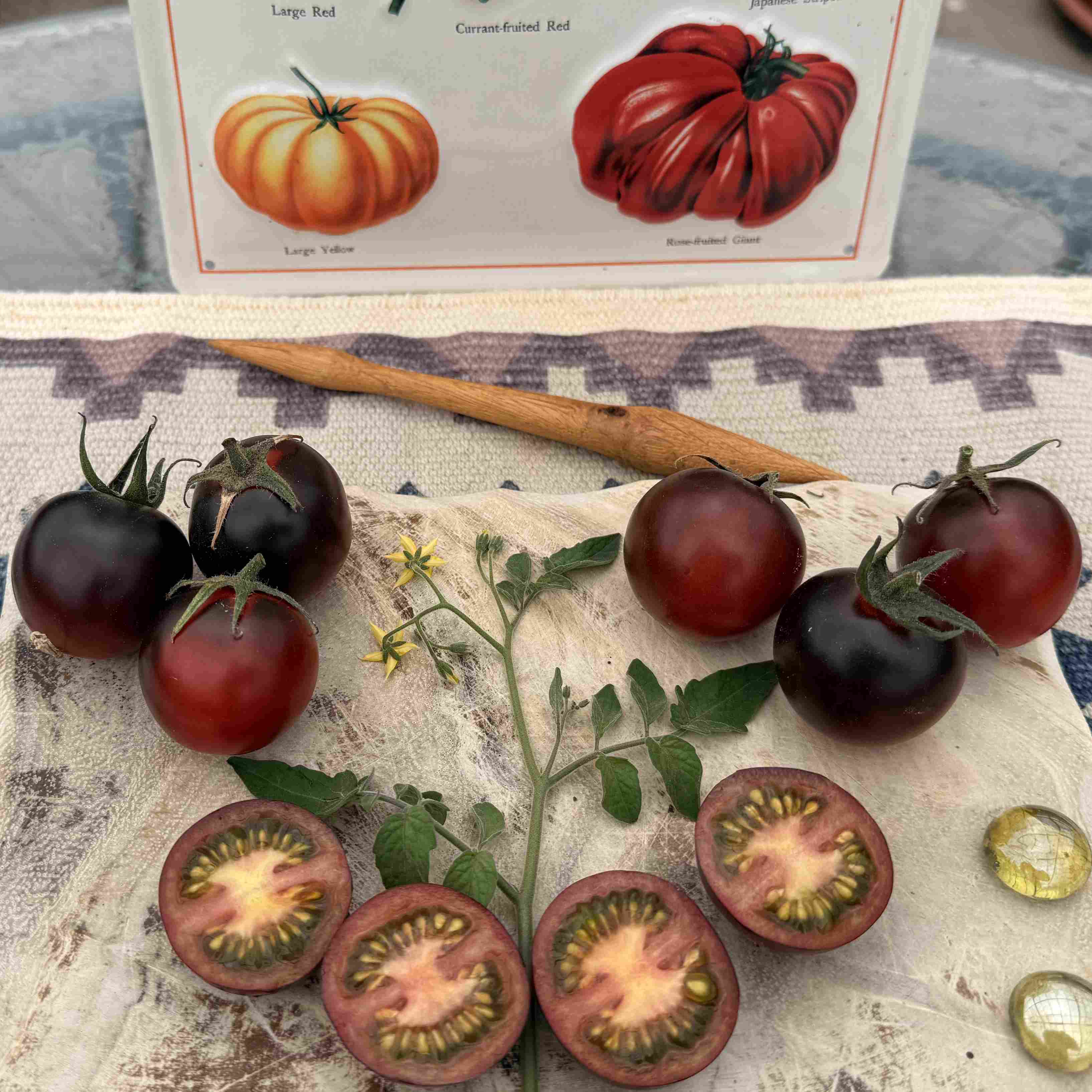 Tomatensaatgut Fahrenheit Blues